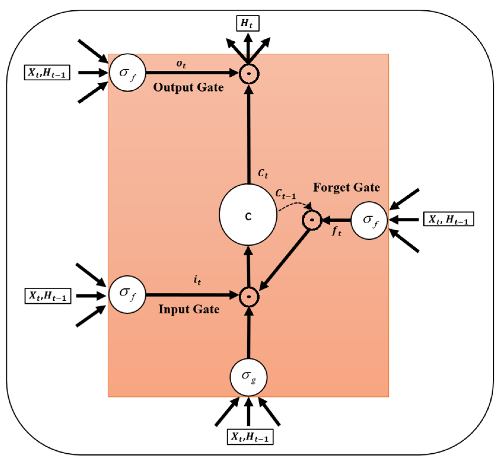 Bioengineering 11 00220 g005