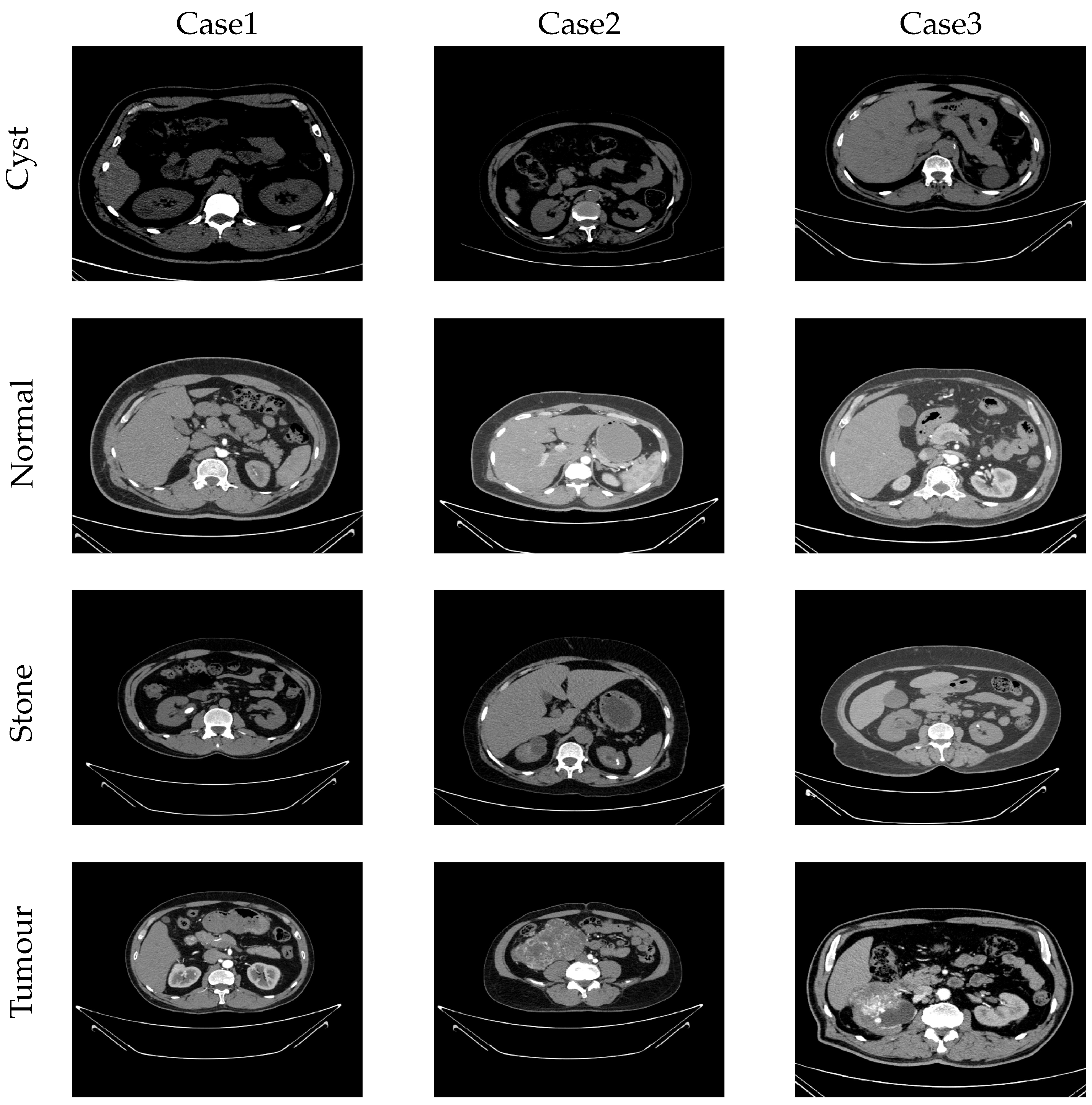 Bioengineering 11 00220 g006