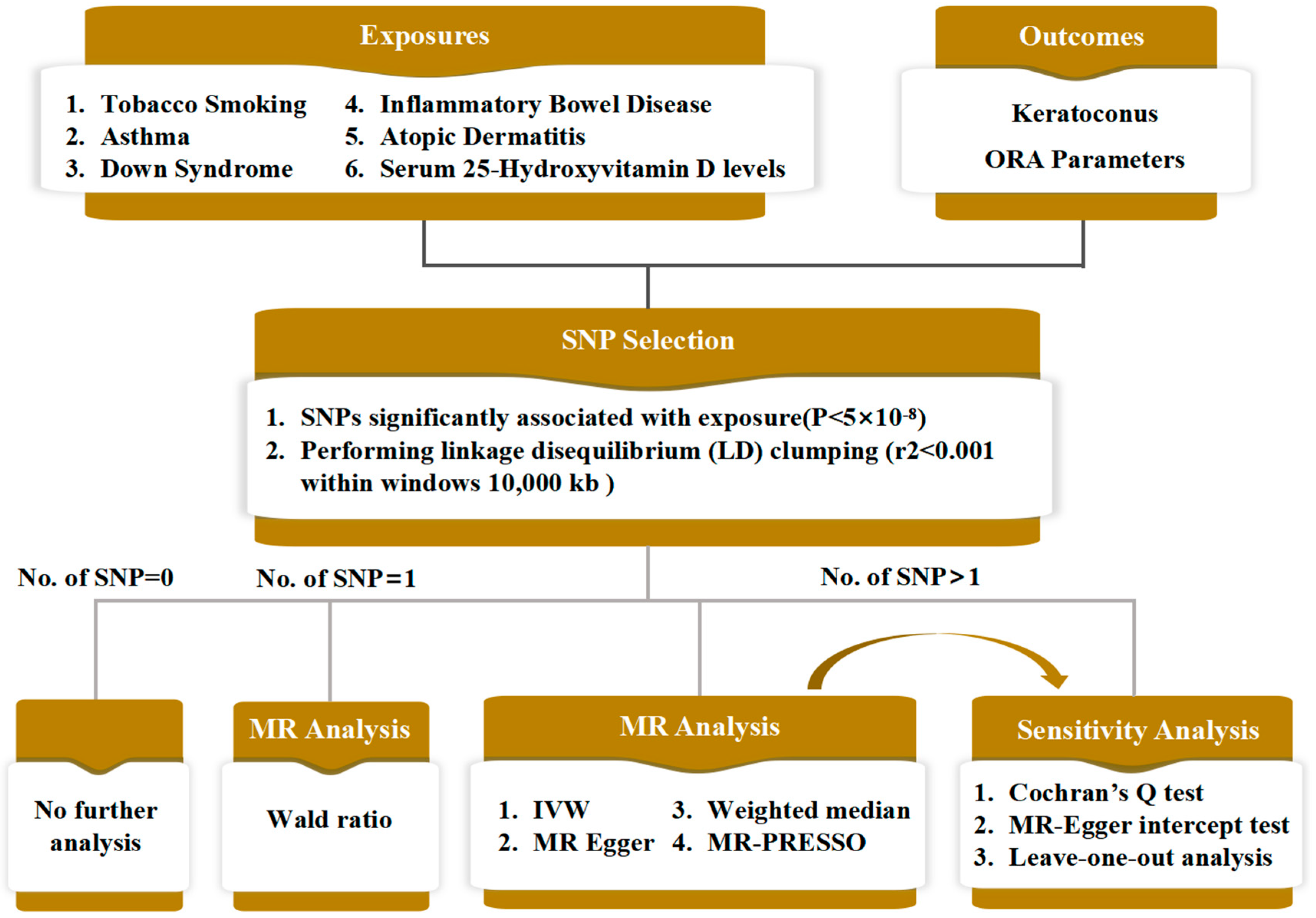 Bioengineering 11 00221 g001 Bioengineering 11 00221 g001