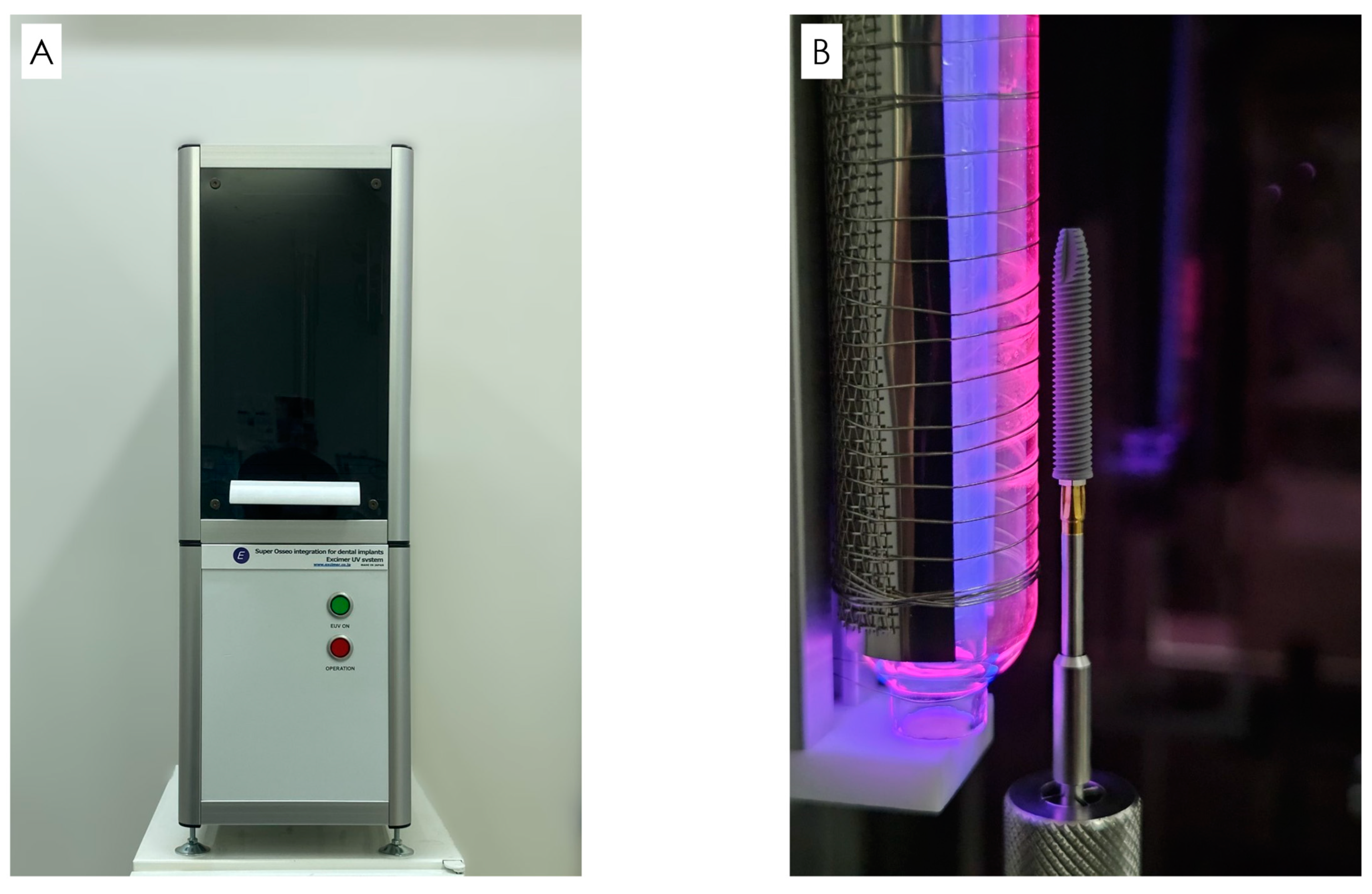 Bioengineering 11 00223 g001 Bioengineering 11 00223 g001
