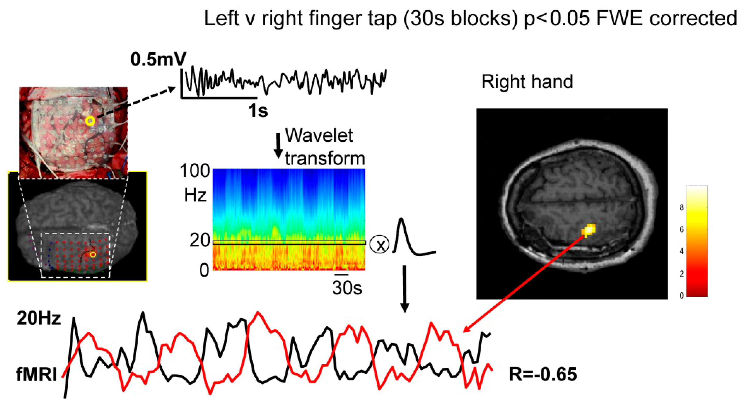 Bioengineering 11 00224 g001