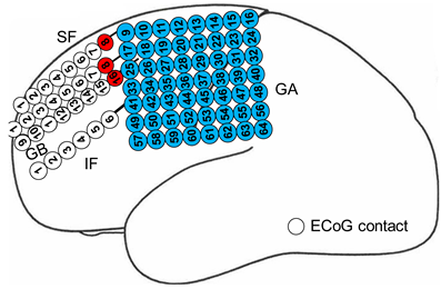 Bioengineering 11 00224 i003