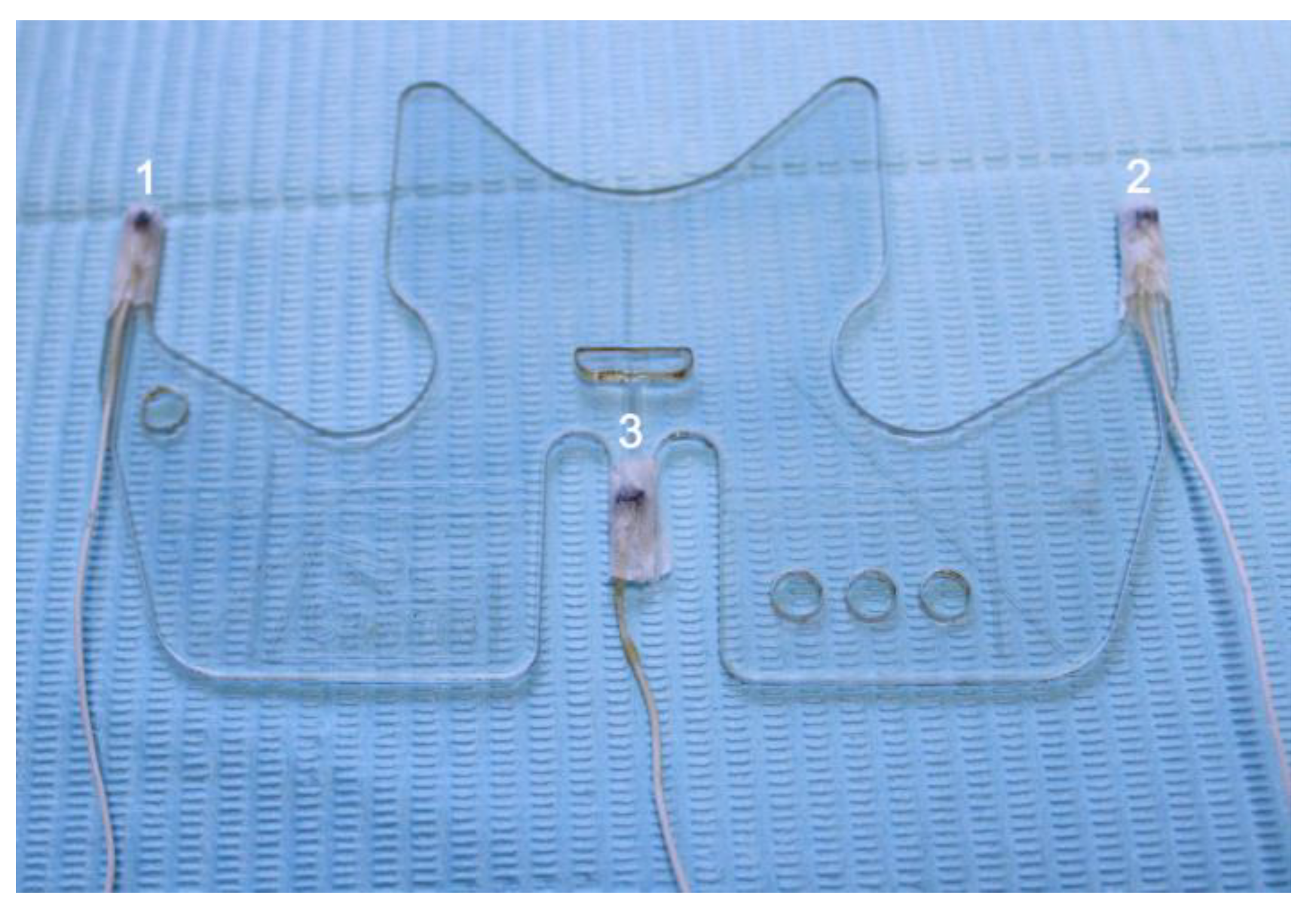 Bioengineering 11 00229 g001 Bioengineering 11 00229 g001