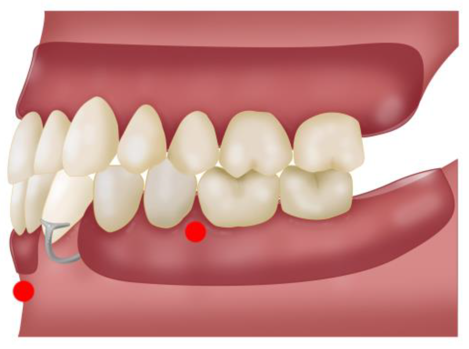 Bioengineering 11 00229 g004 Bioengineering 11 00229 g004