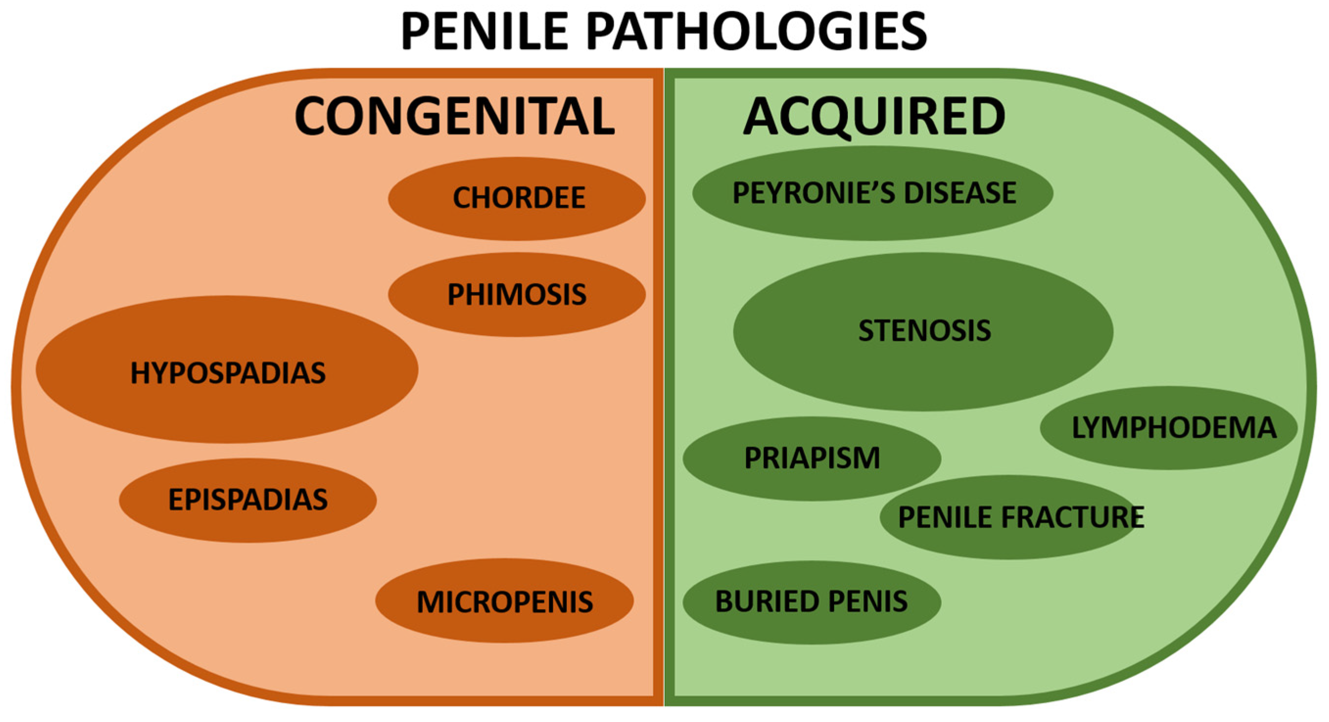 Bioengineering 11 00230 g002