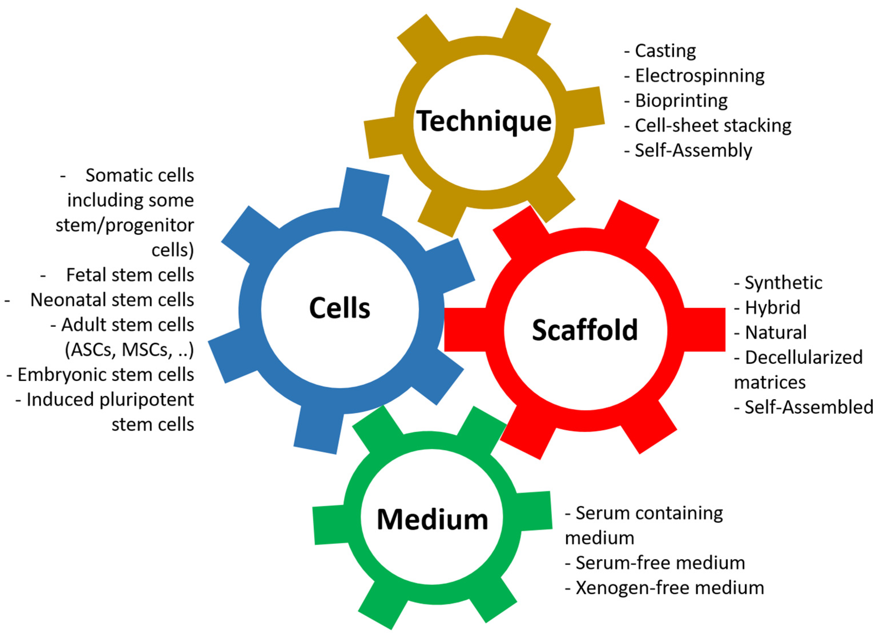 Bioengineering 11 00230 g003