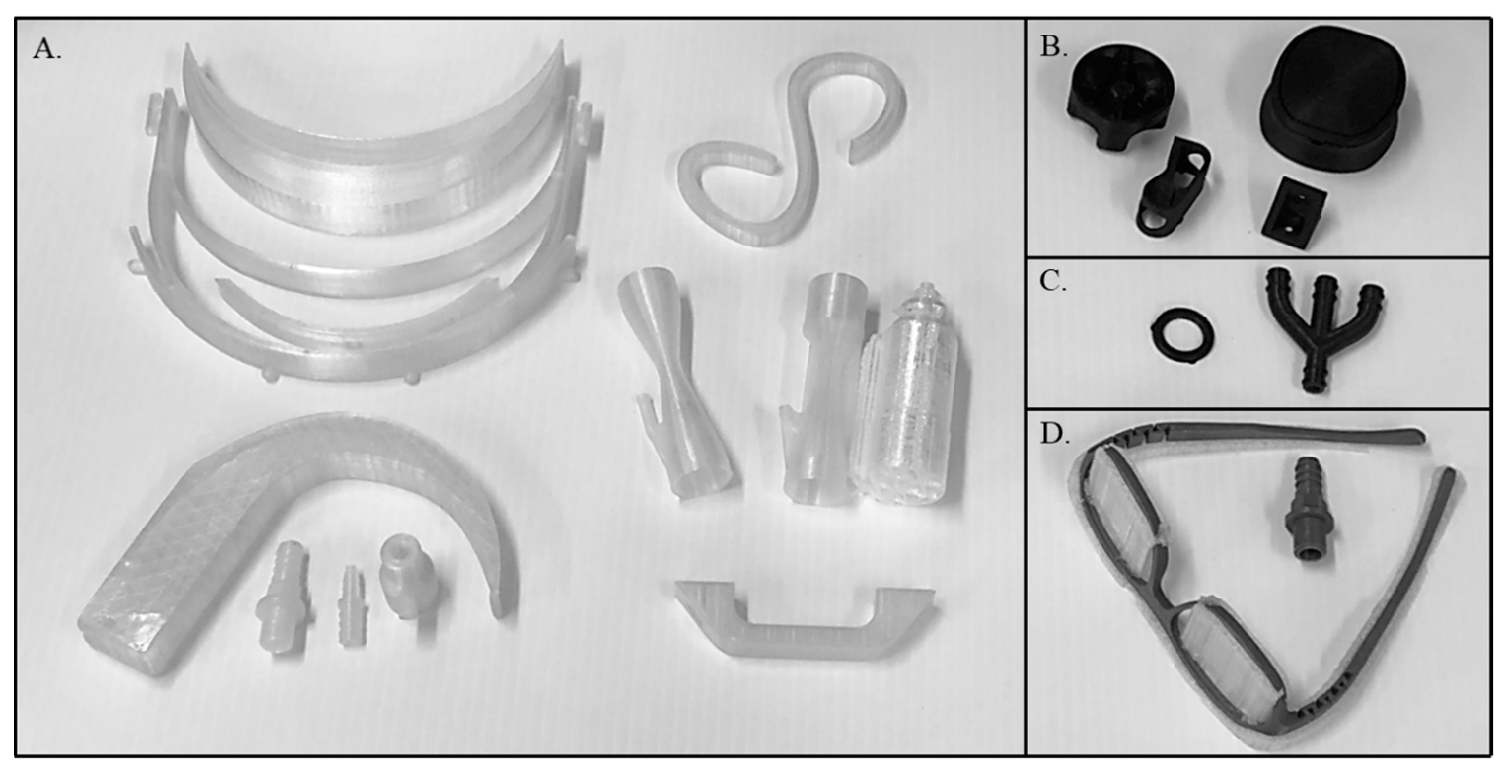 Bioengineering 11 00232 g001 Bioengineering 11 00232 g001