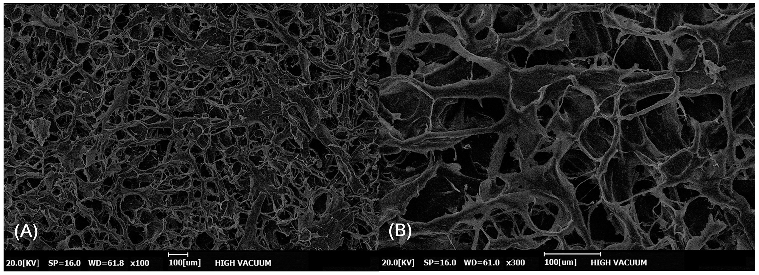 Bioengineering 11 00241 g002