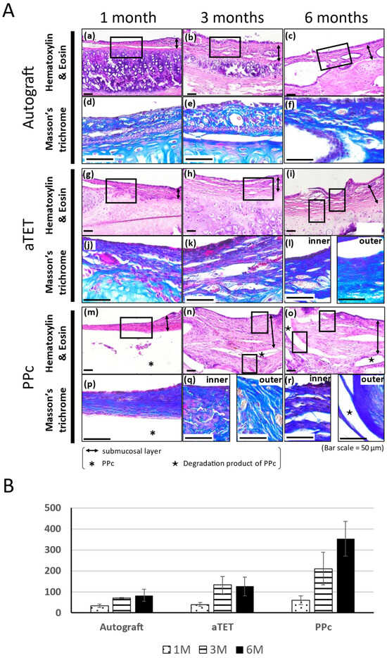 Bioengineering 11 00243 g003
