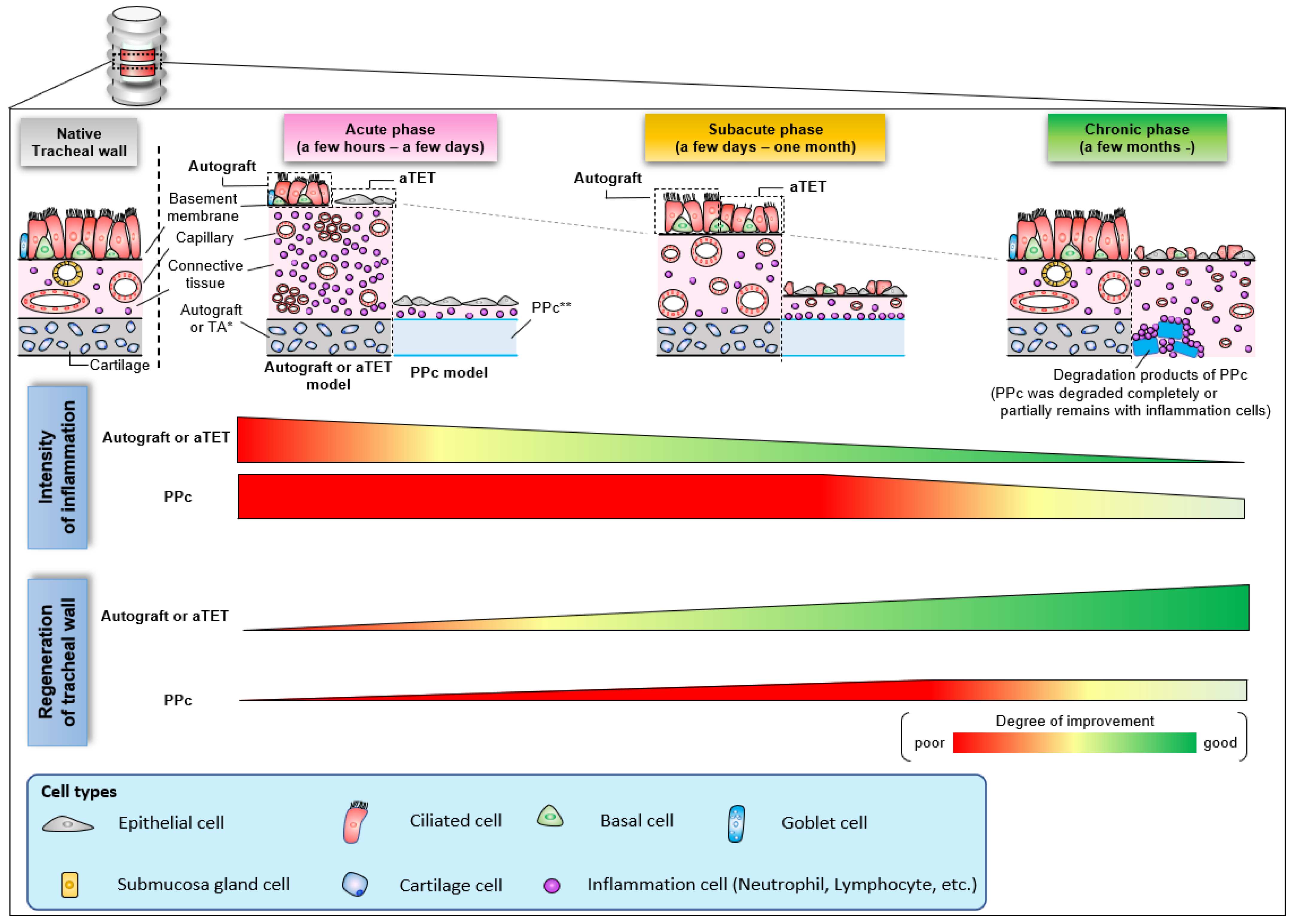 Bioengineering 11 00243 g007 Bioengineering 11 00243 g007