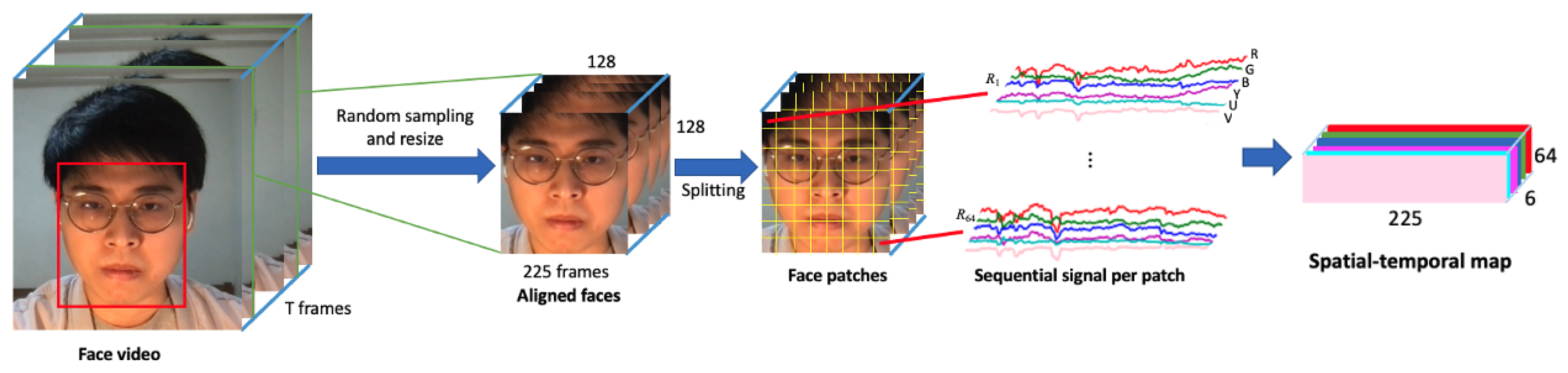 Bioengineering 11 00251 g001