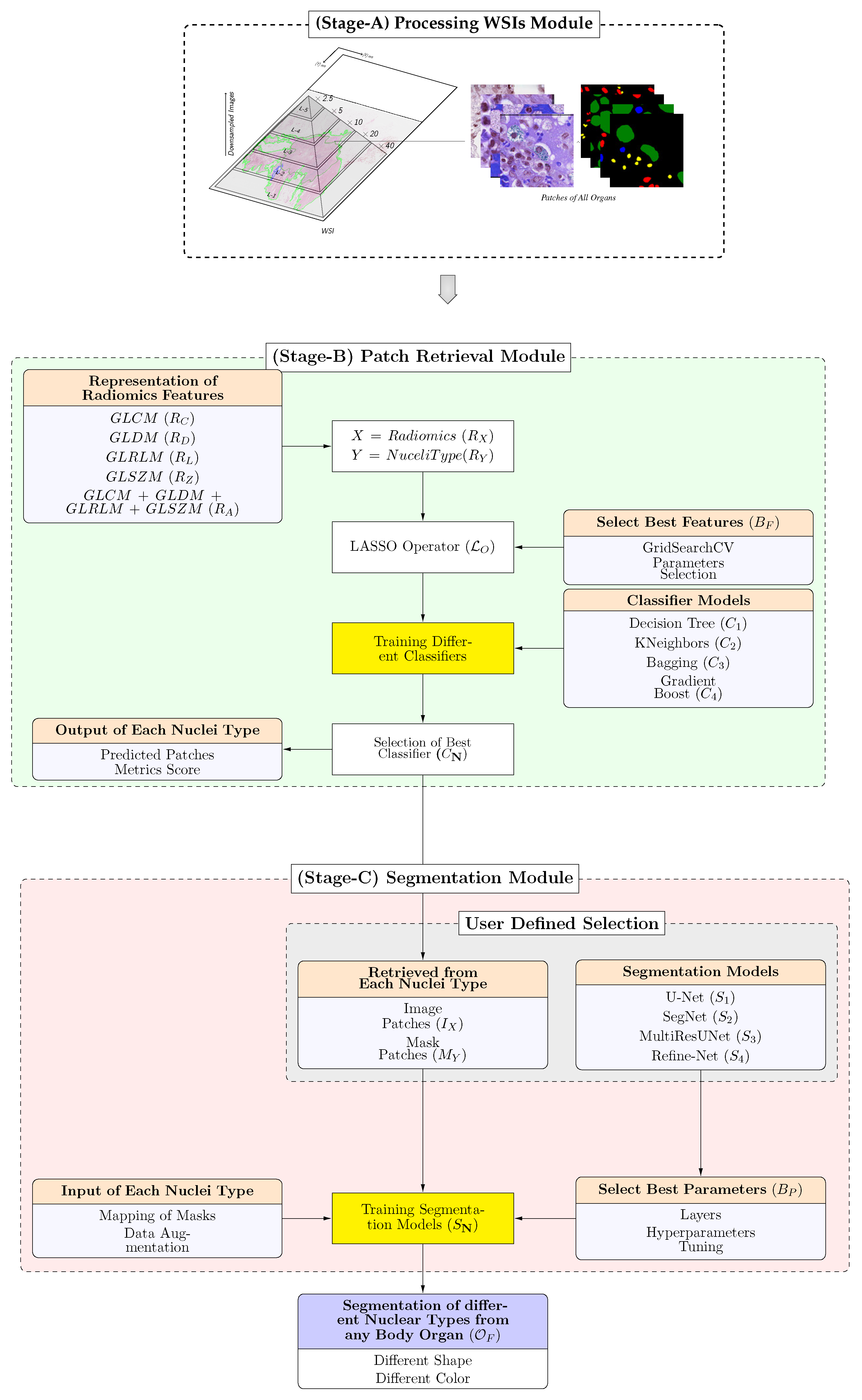 Bioengineering 11 00252 g001