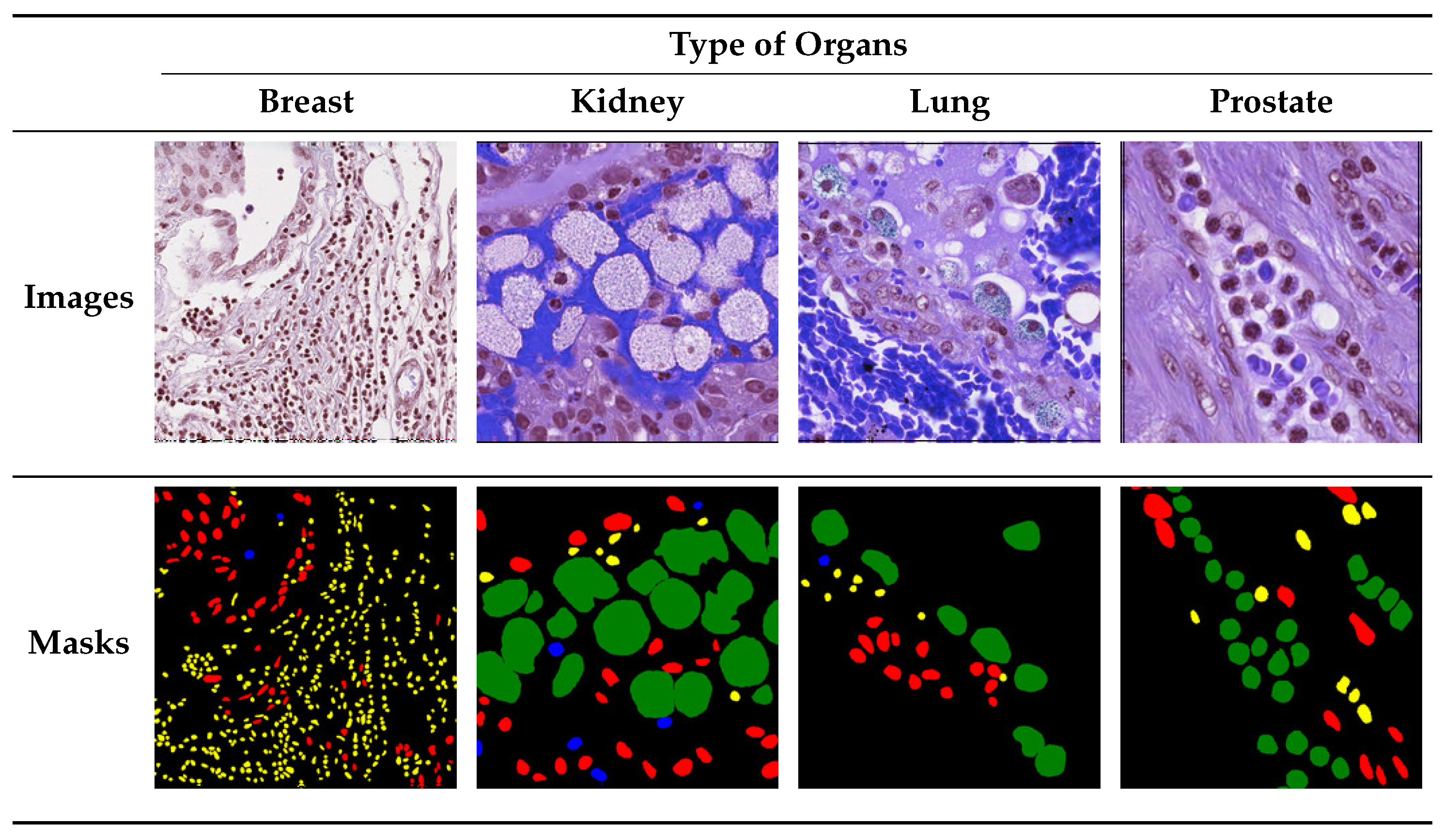 Bioengineering 11 00252 g002