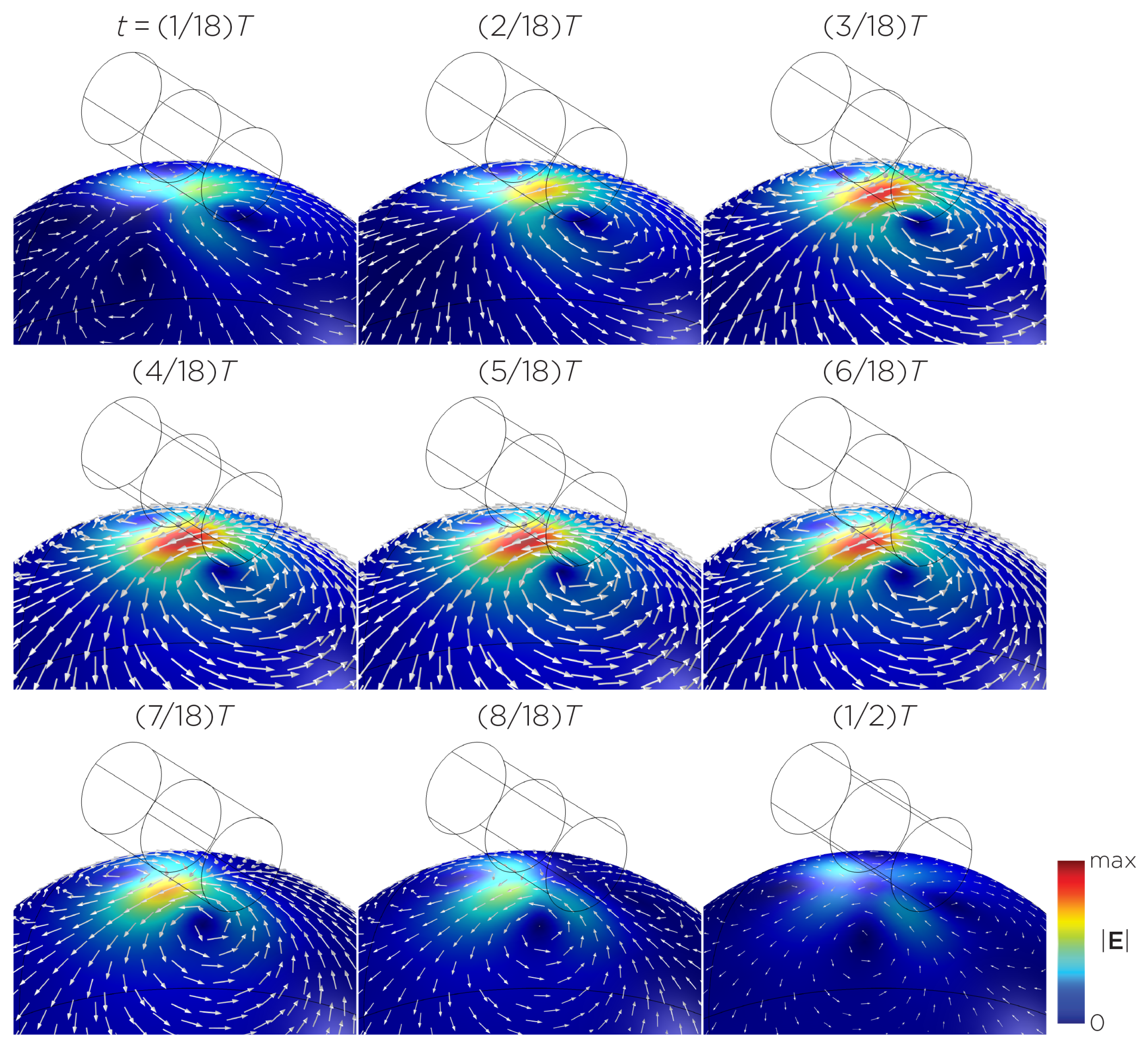 Bioengineering 11 00258 g005