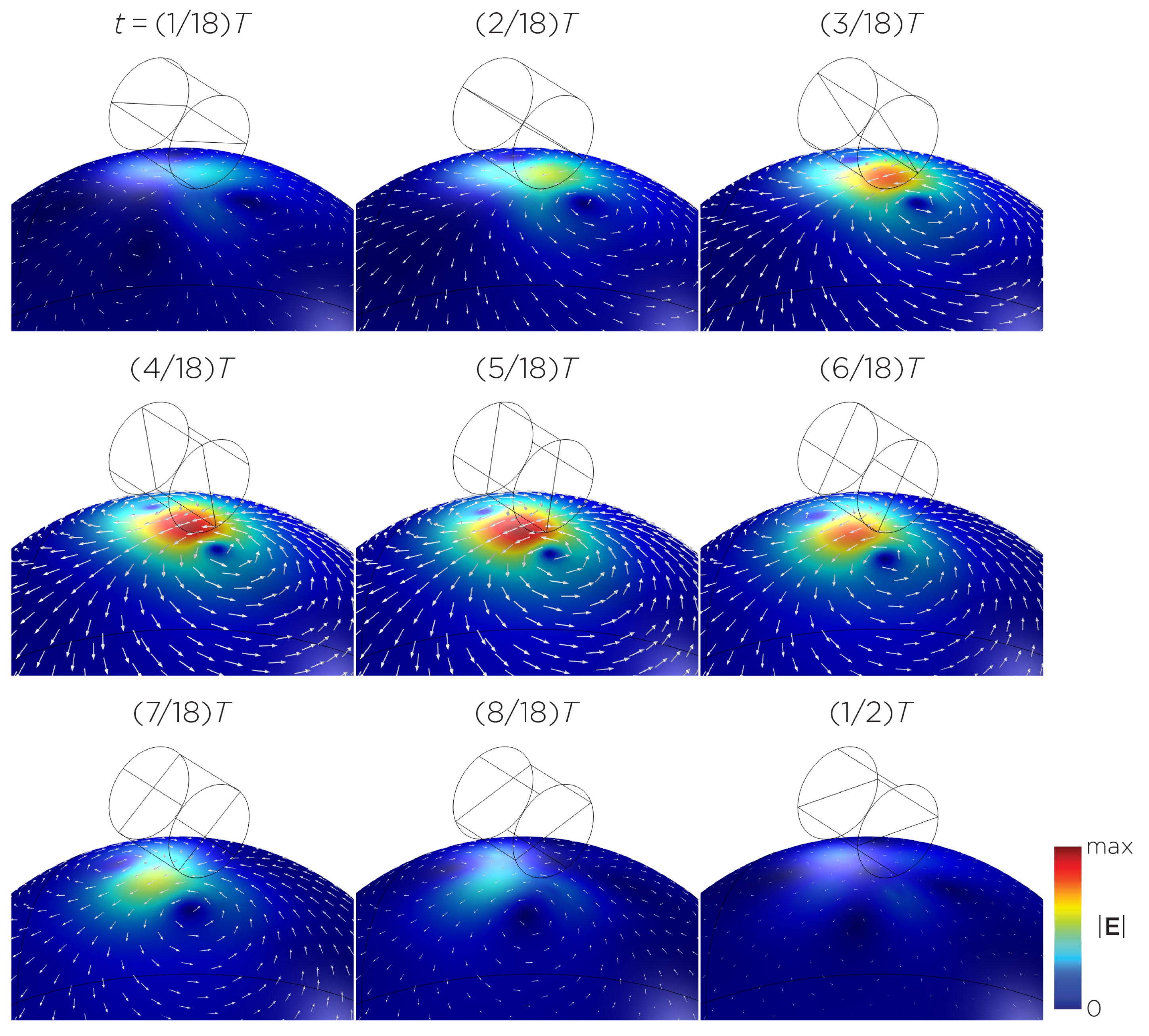 Bioengineering 11 00258 g007