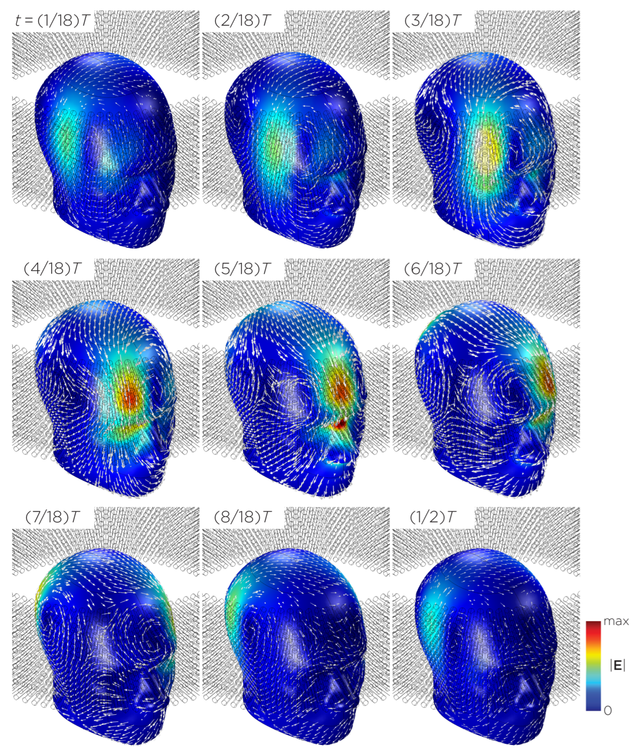 Bioengineering 11 00258 g012