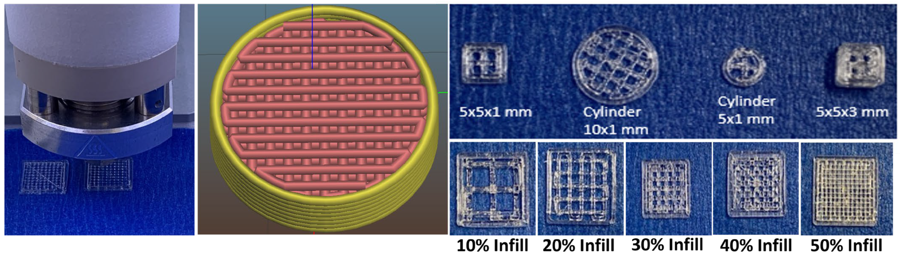 Bioengineering 11 00259 g001
