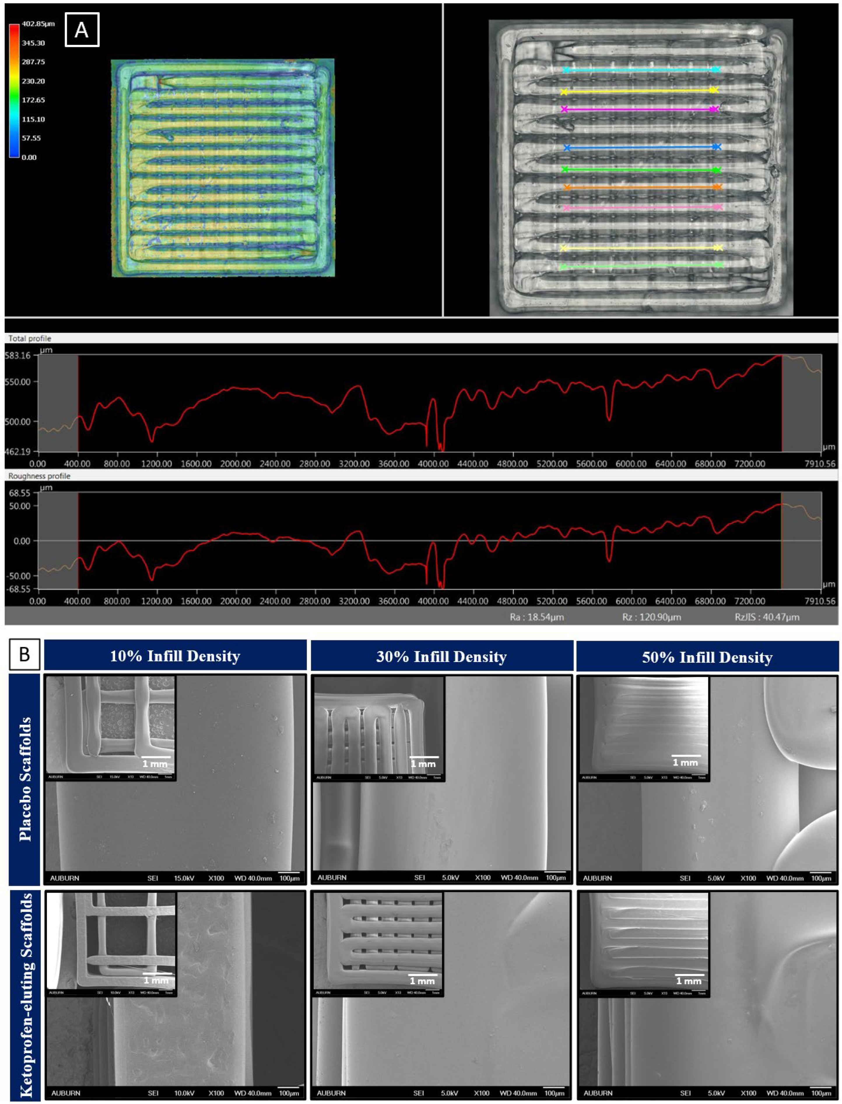 Bioengineering 11 00259 g002