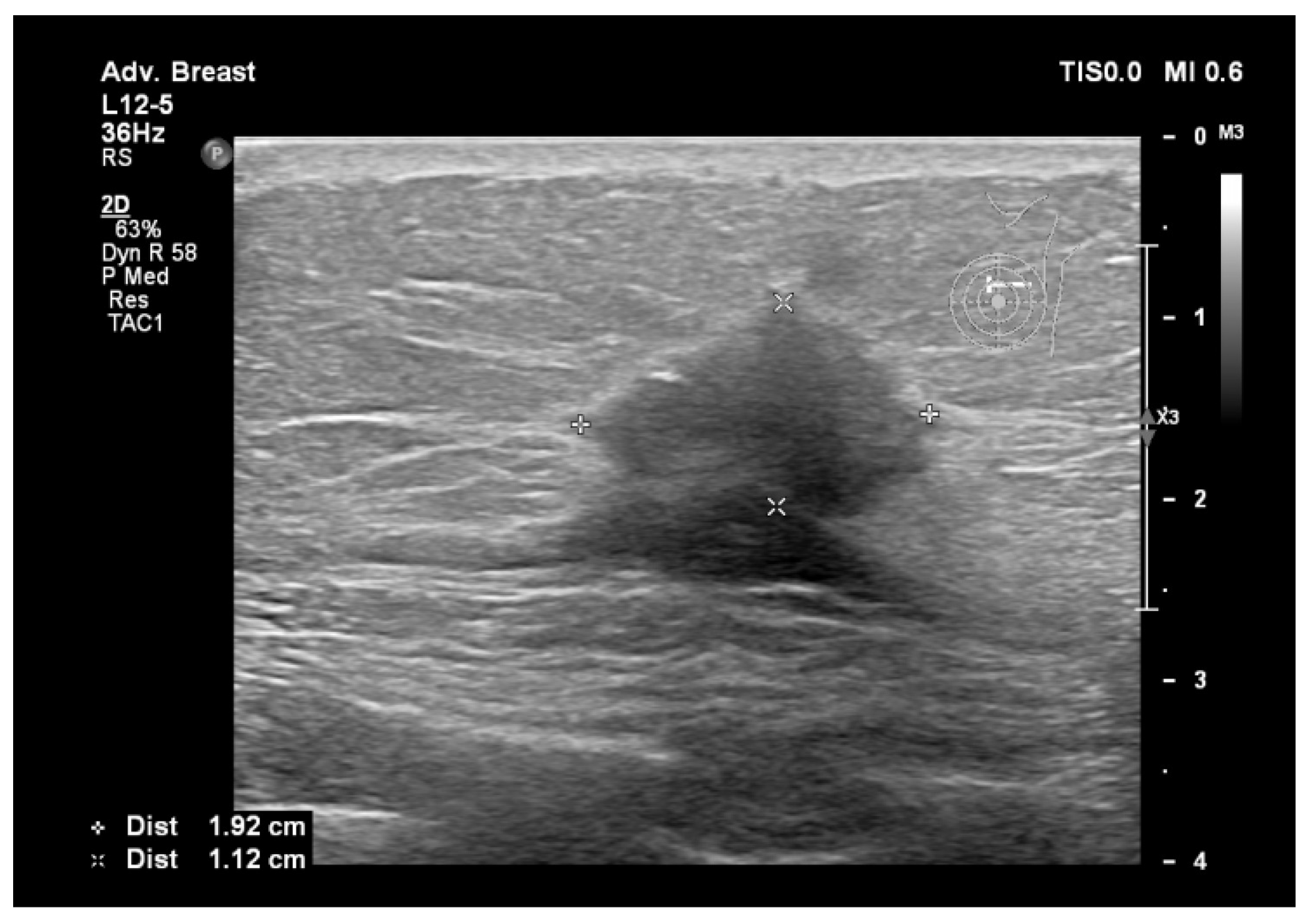 Bioengineering 11 00262 g003
