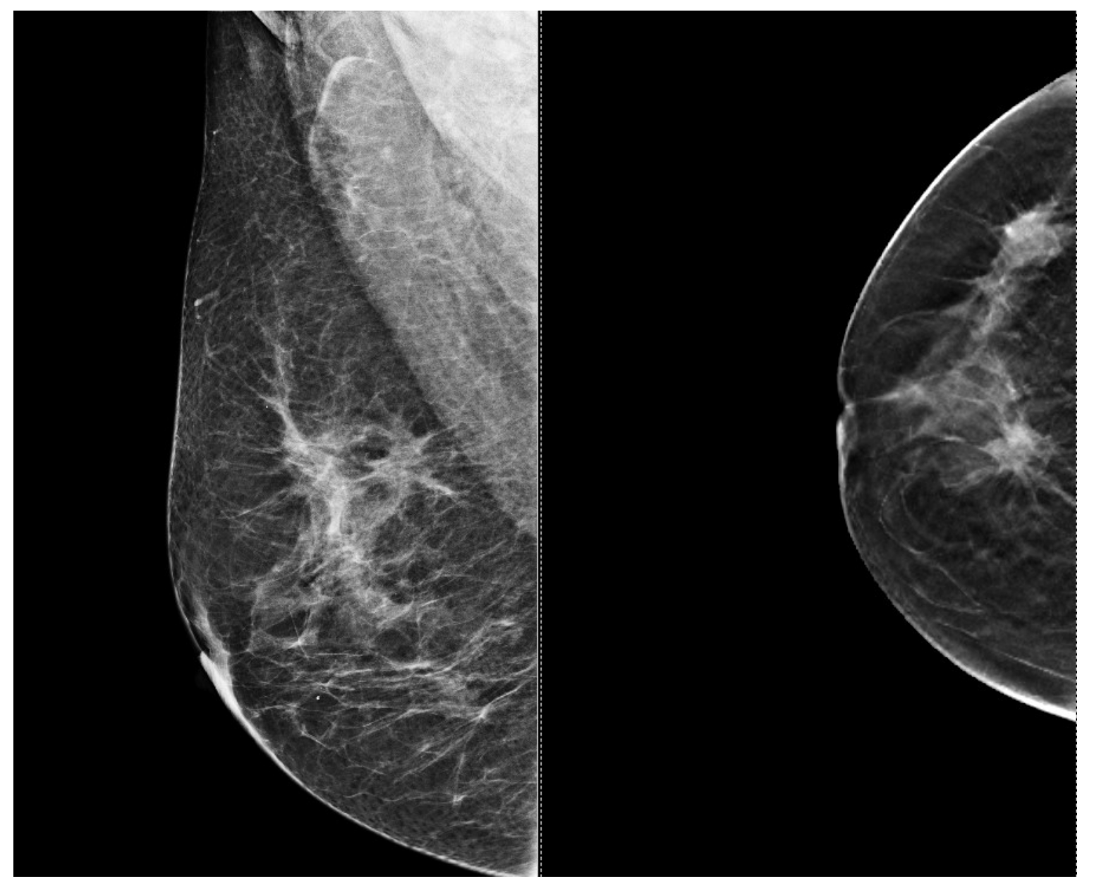 Bioengineering 11 00262 g008