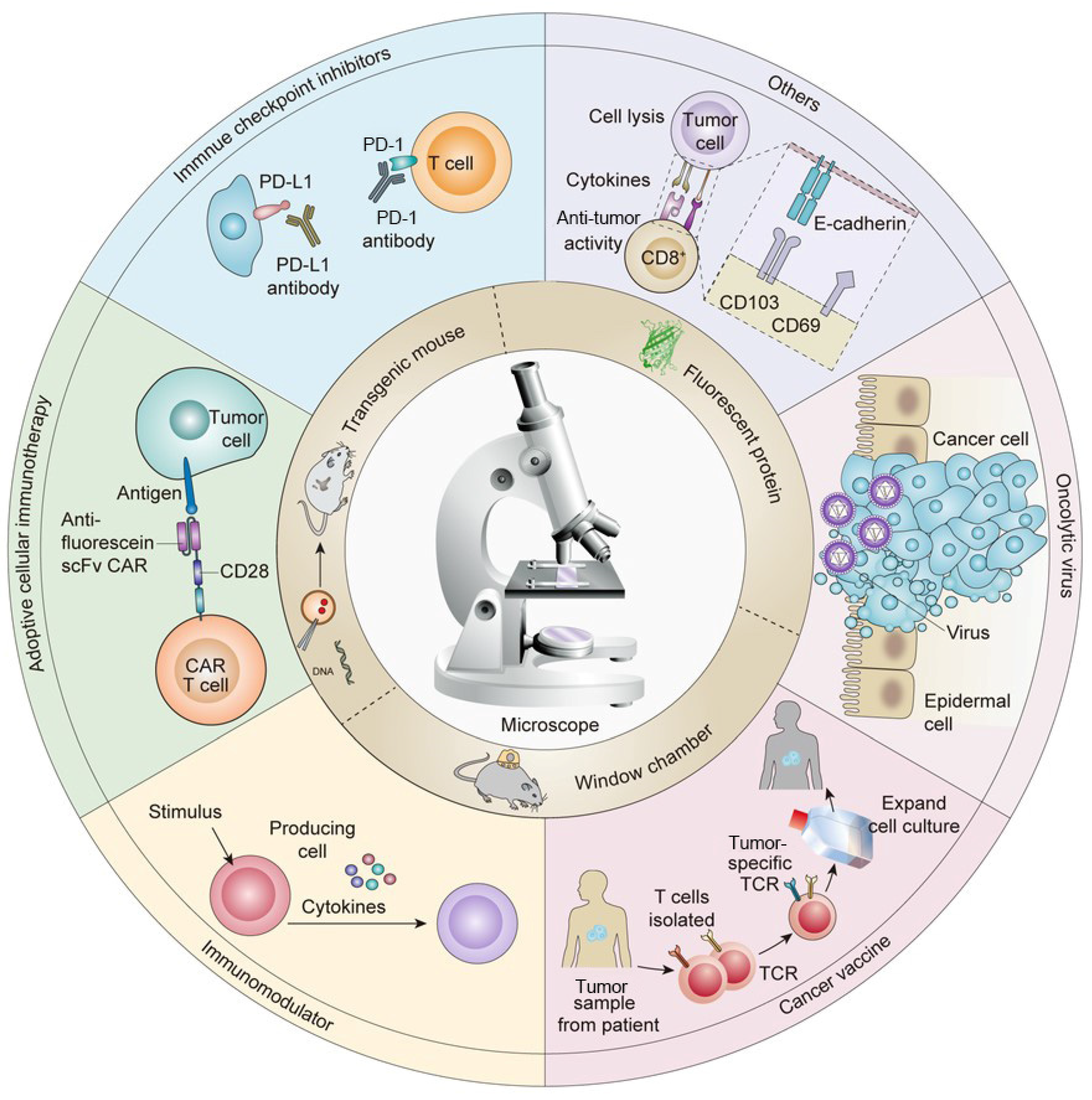 Bioengineering 11 00264 g001 Bioengineering 11 00264 g001