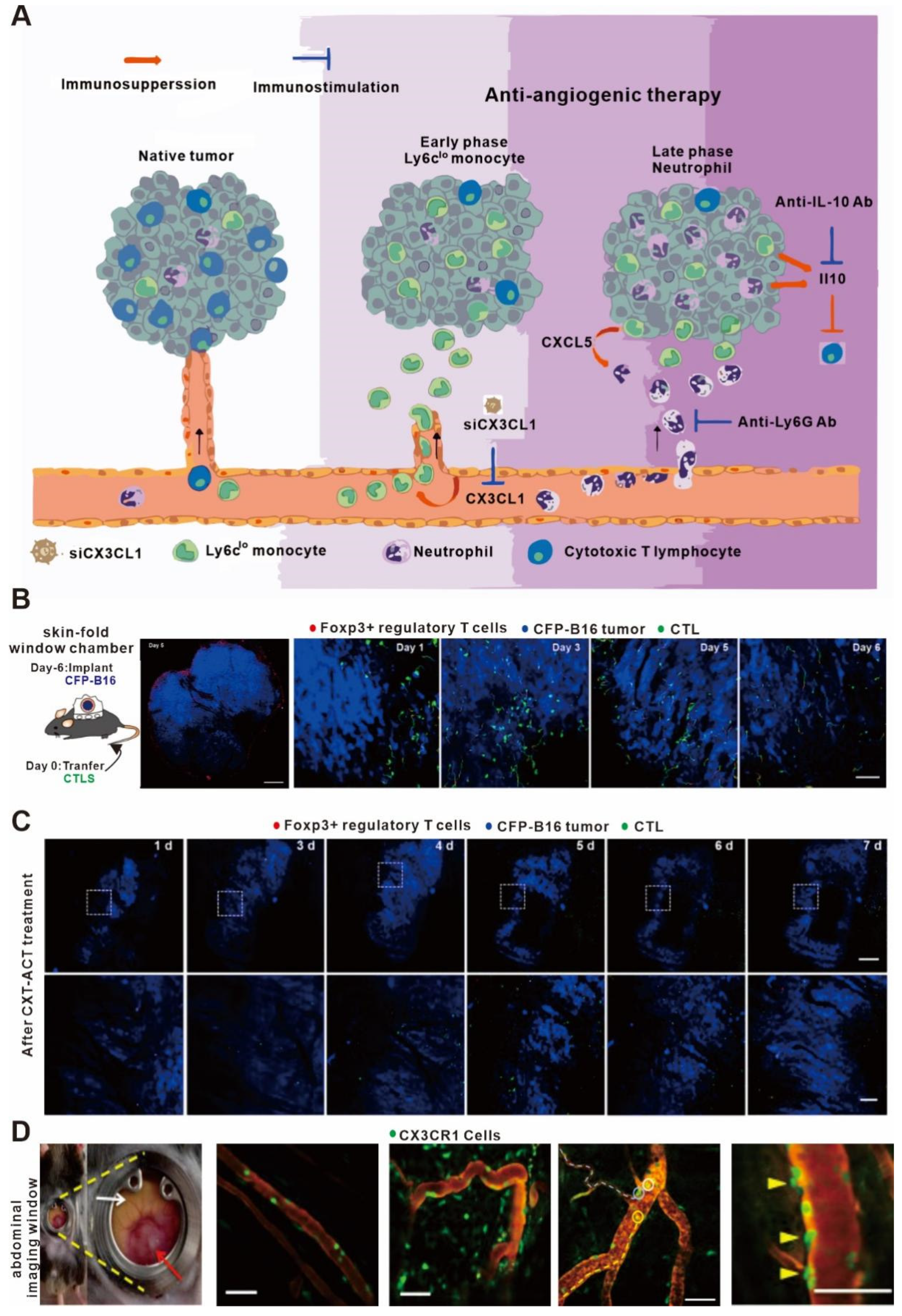 Bioengineering 11 00264 g003 Bioengineering 11 00264 g003