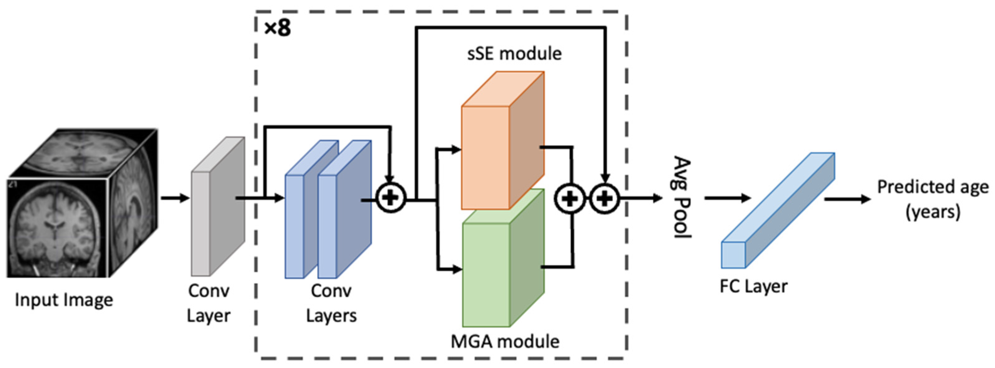 Bioengineering 11 00265 g003