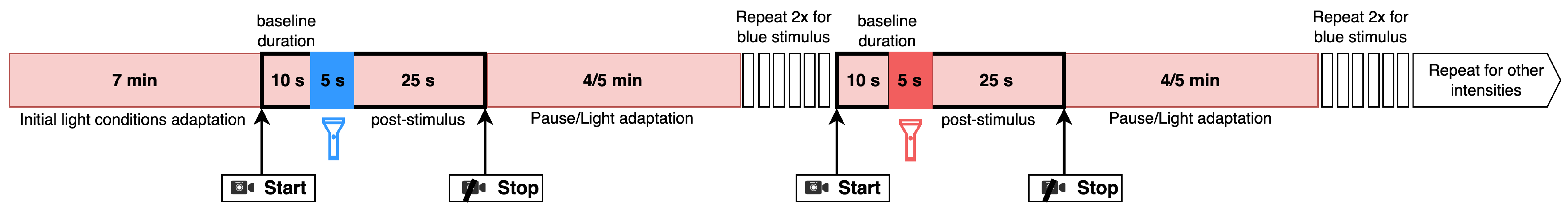 Bioengineering 11 00267 g003 Bioengineering 11 00267 g003