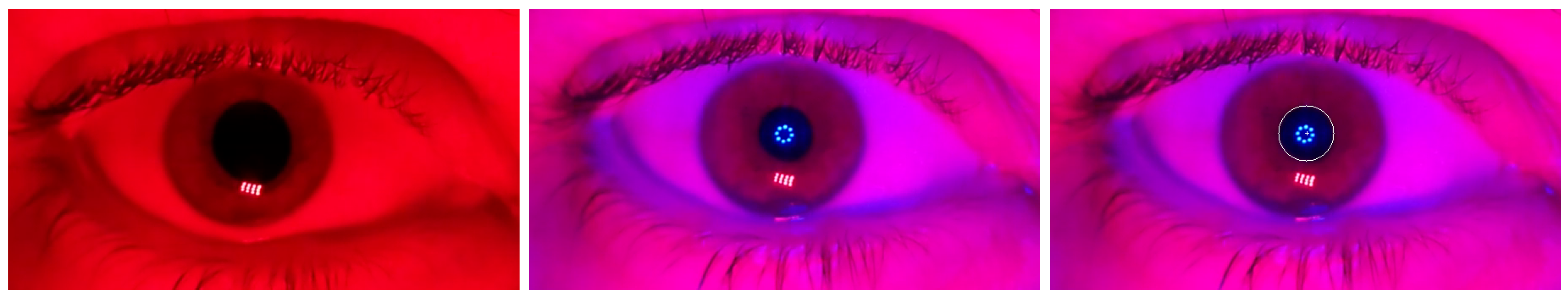 Bioengineering 11 00267 g004 Bioengineering 11 00267 g004