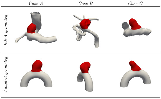 Bioengineering 11 00269 g003
