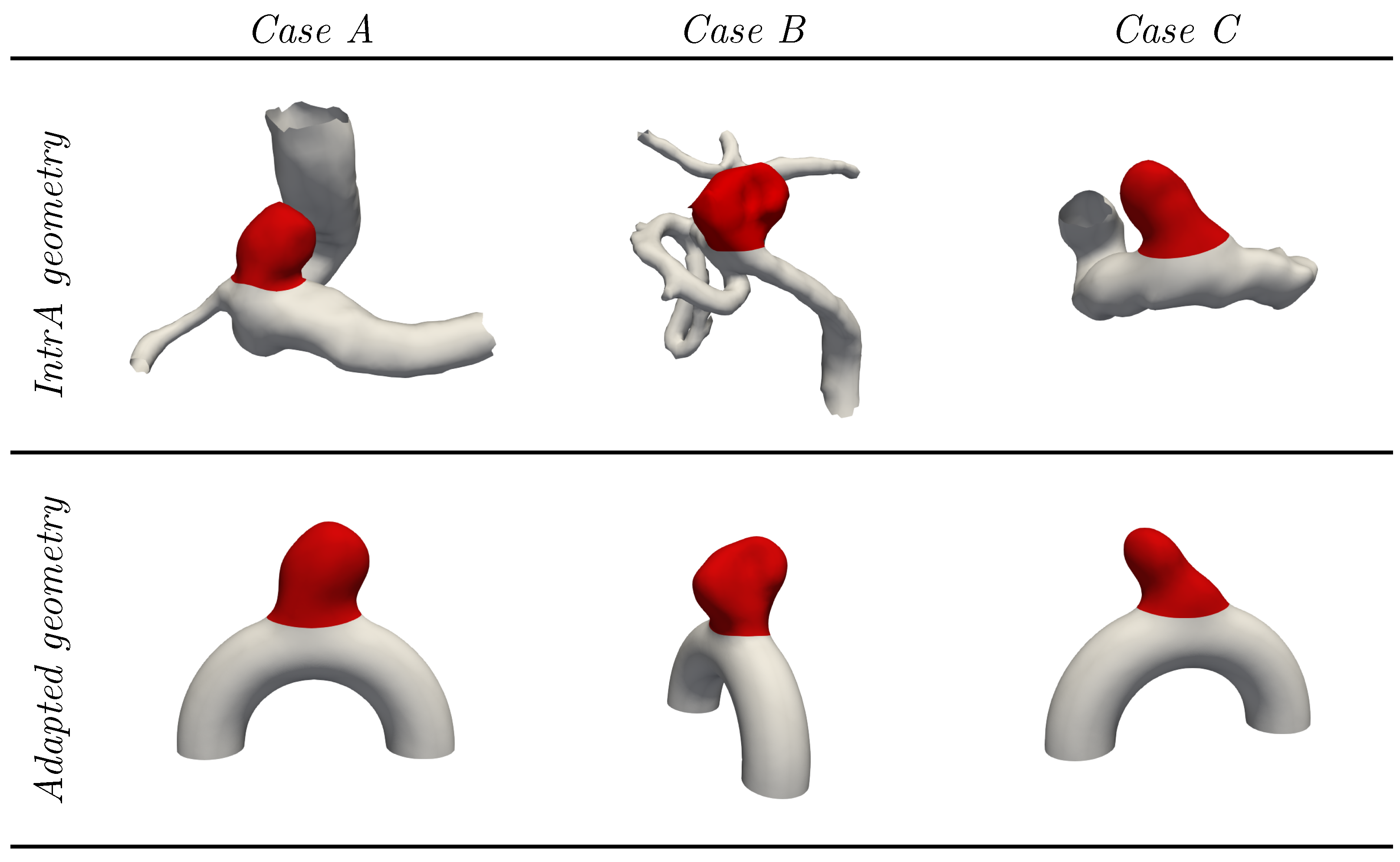 Bioengineering 11 00269 g003