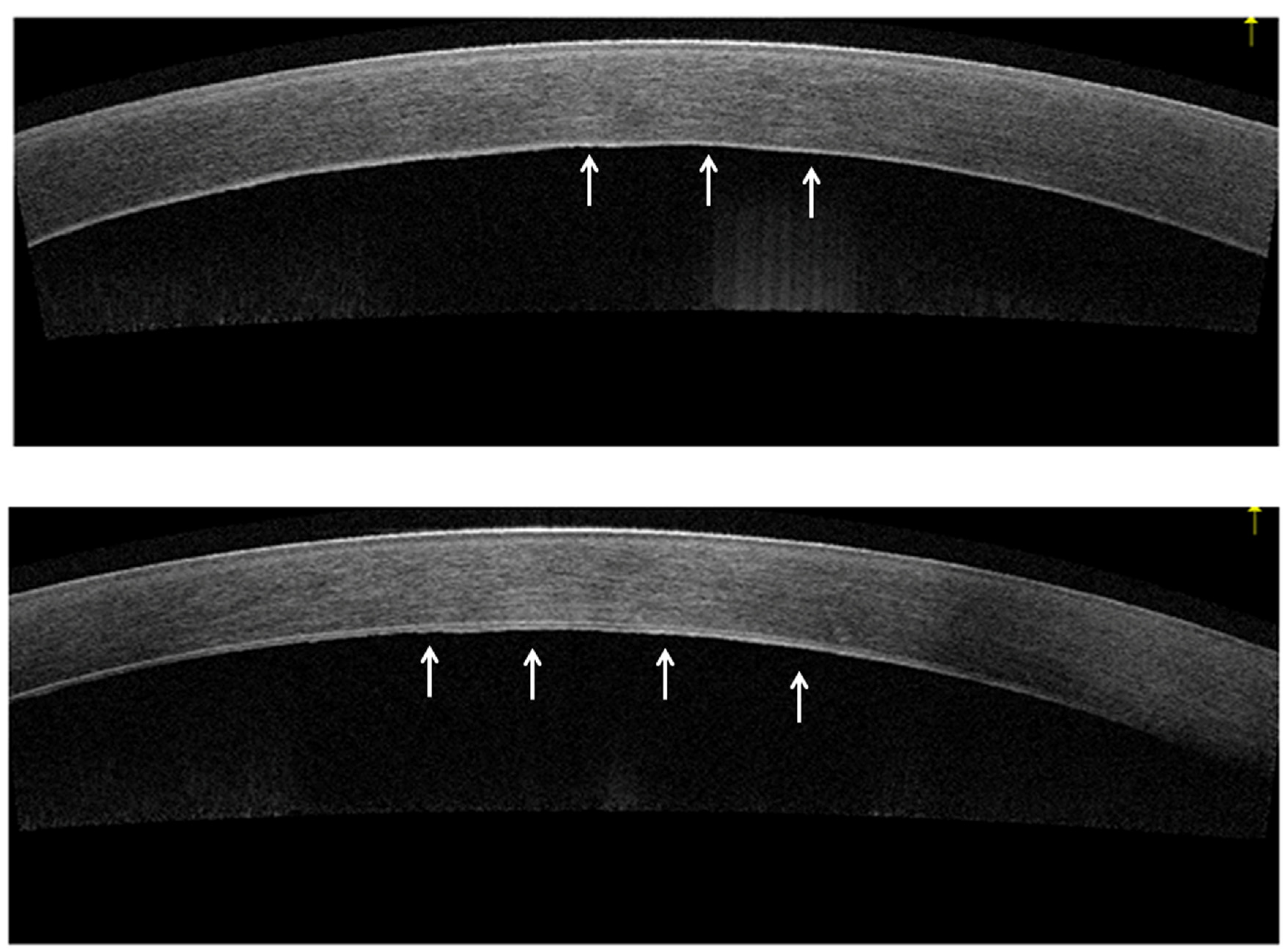Bioengineering 11 00271 g001