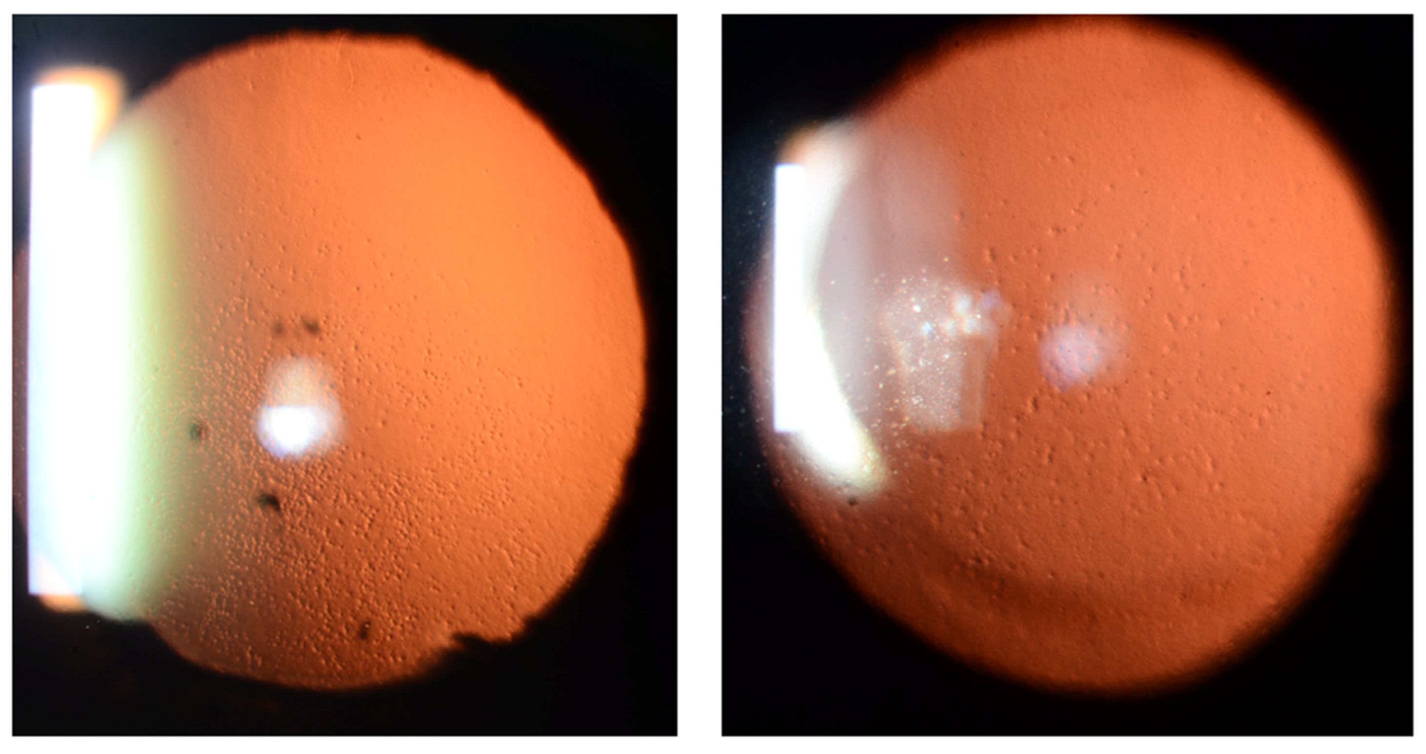 Bioengineering 11 00271 g006