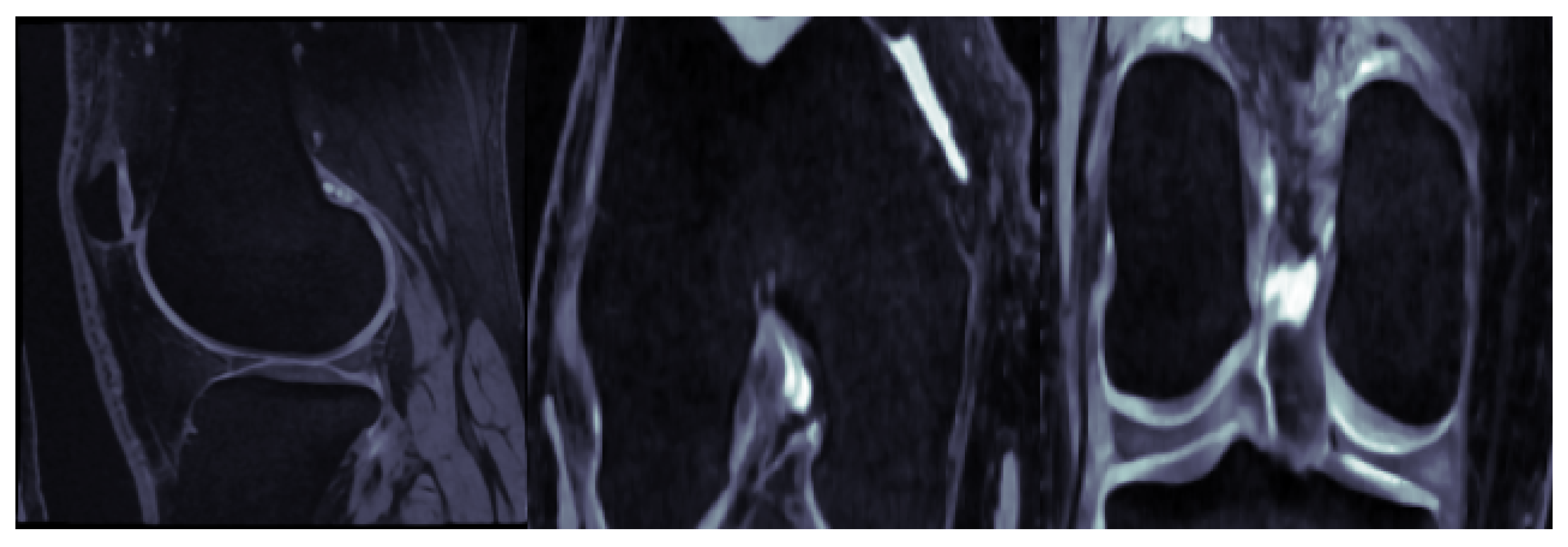 Bioengineering 11 00278 g002