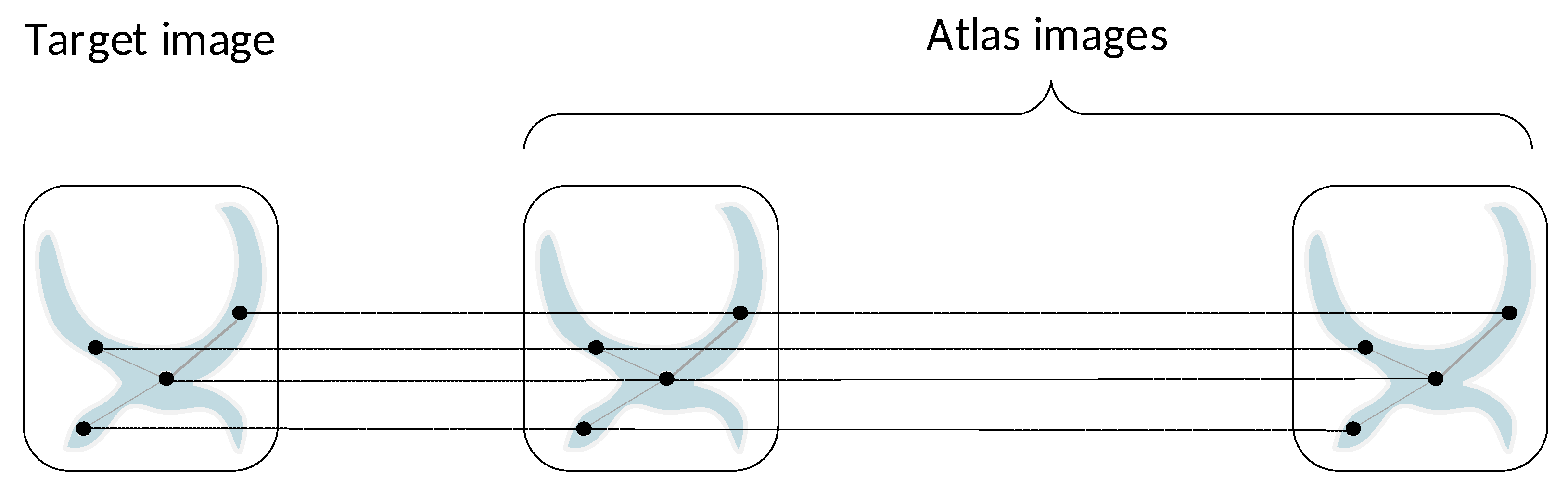 Bioengineering 11 00278 g003