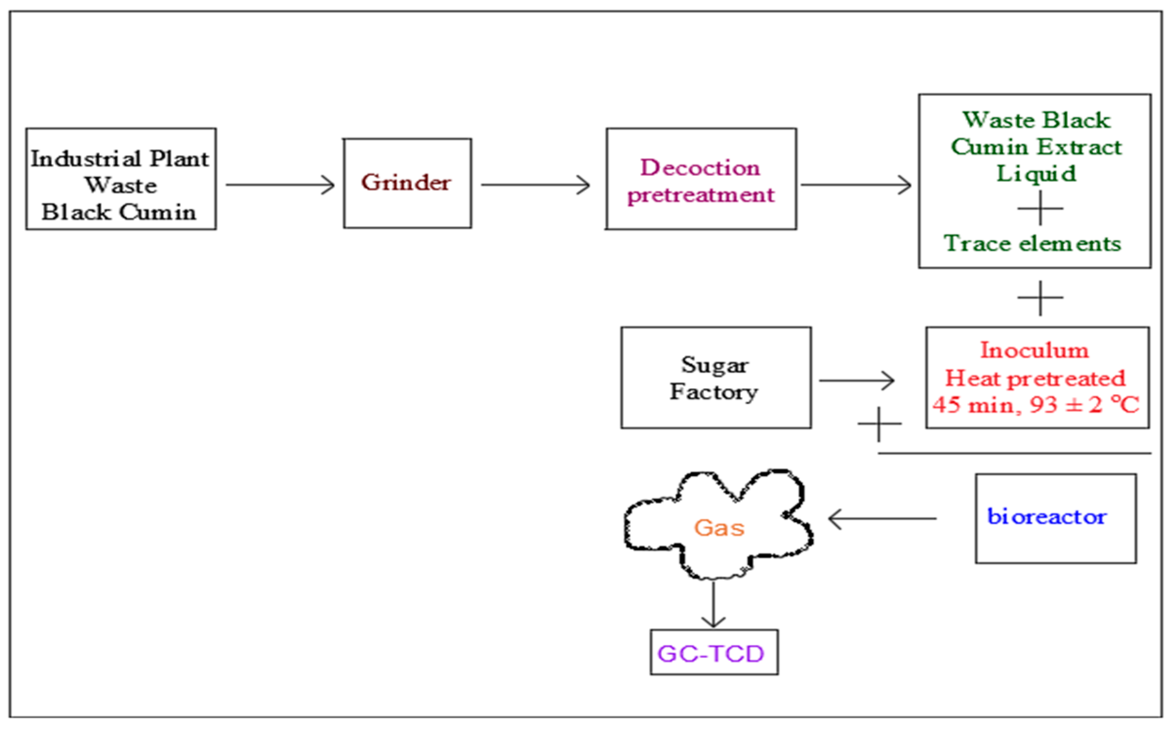 Bioengineering 11 00282 g001