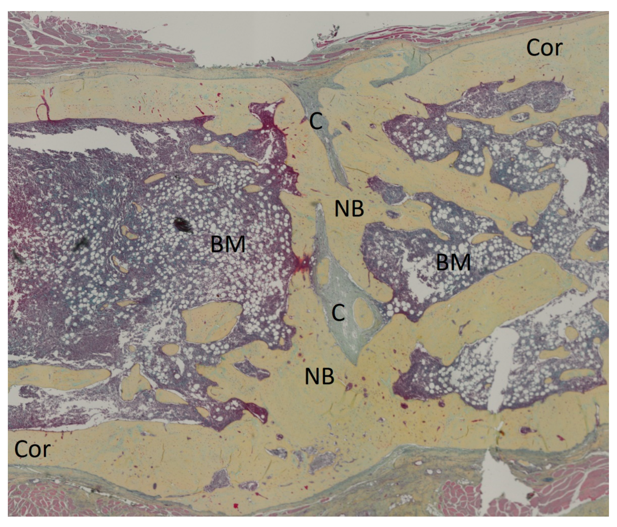 Bioengineering 11 00287 g003