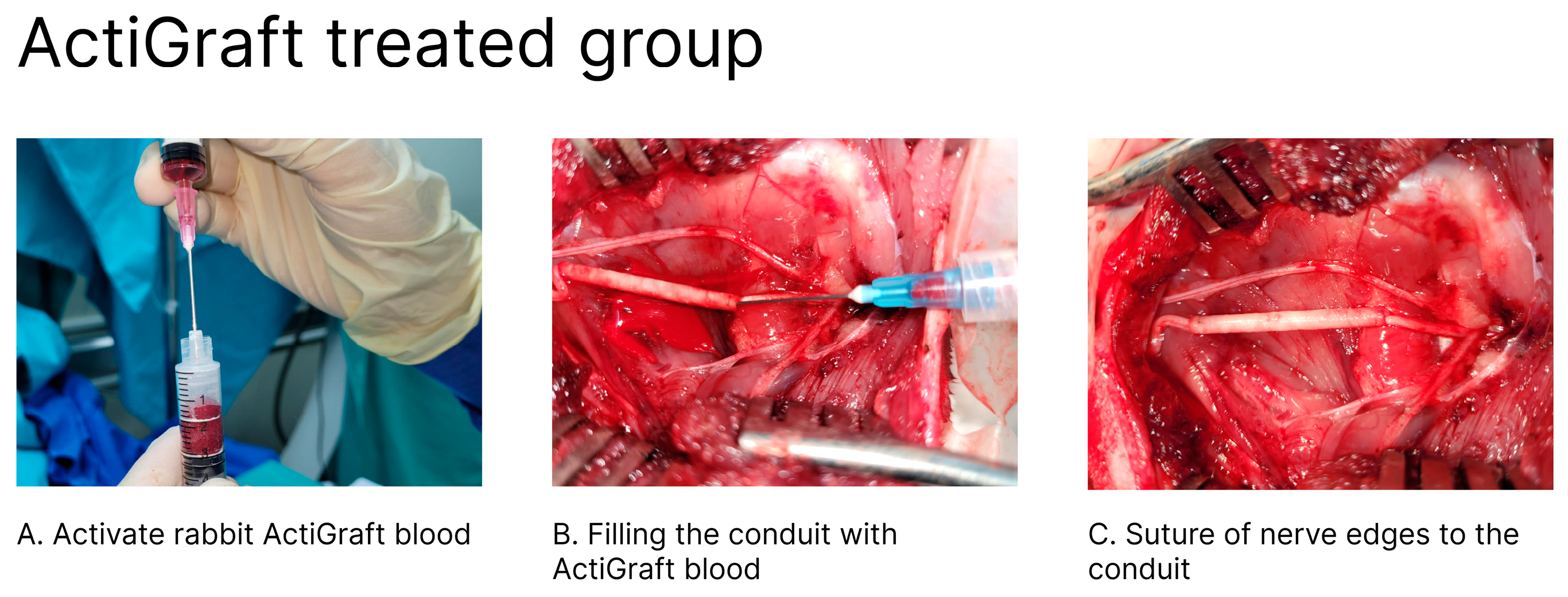 Bioengineering 11 00298 g002 Bioengineering 11 00298 g002