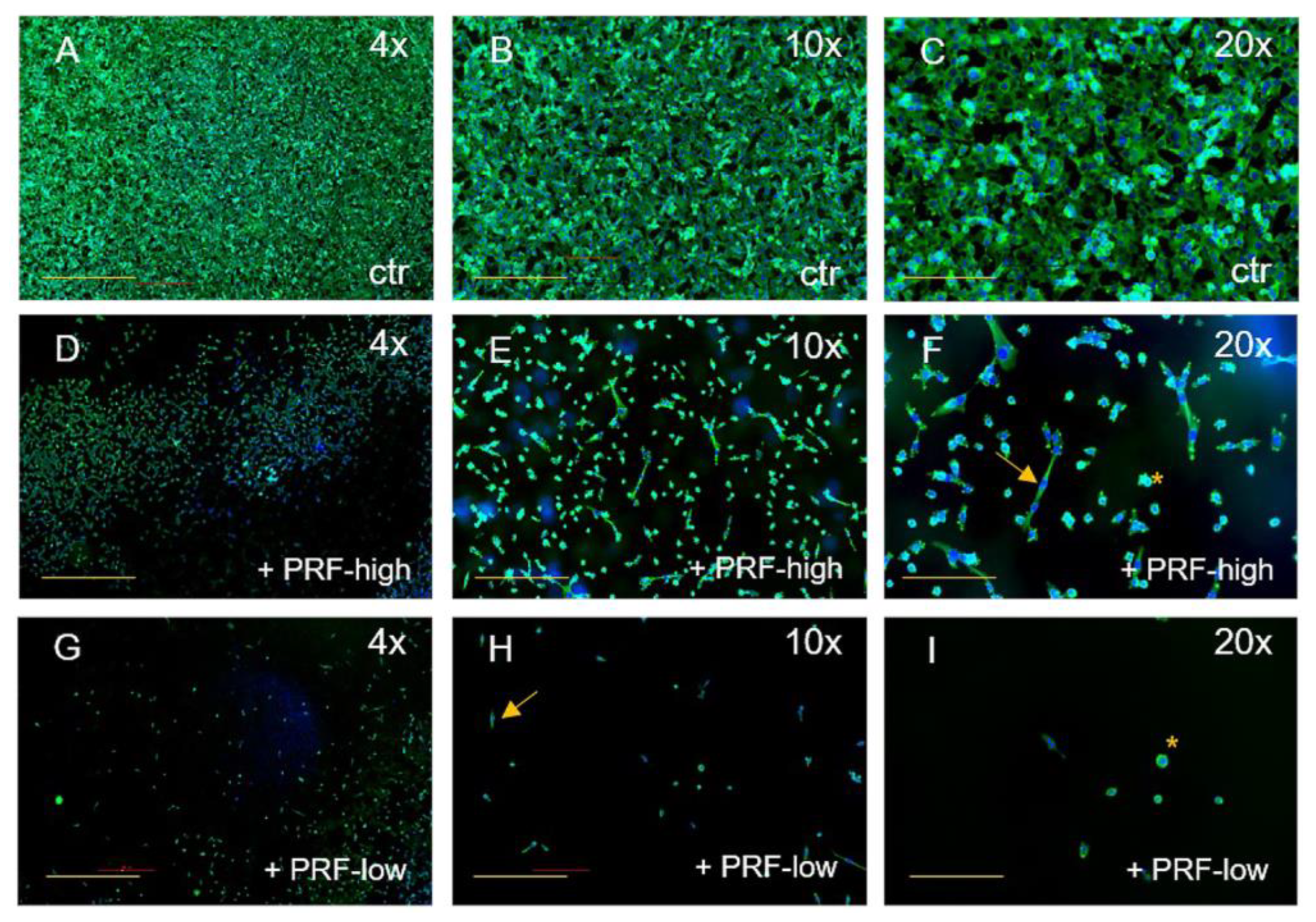 Bioengineering 11 00303 g002