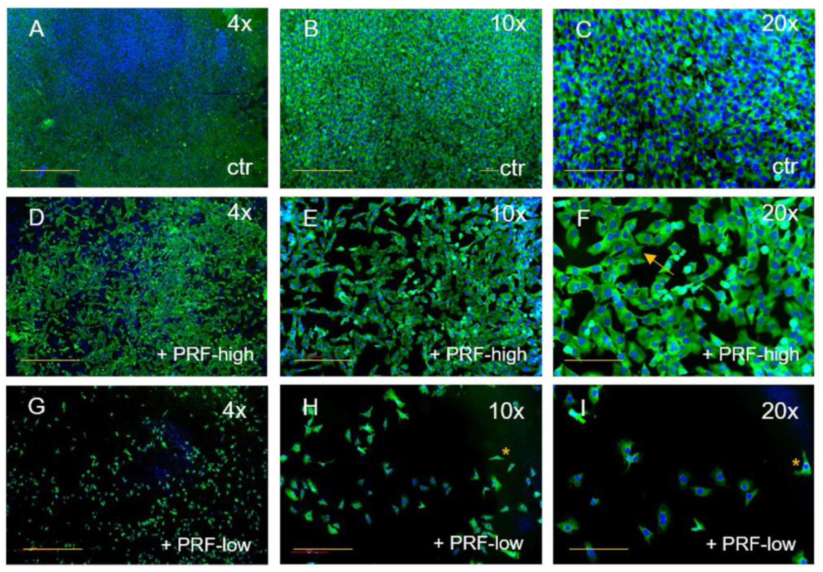 Bioengineering 11 00303 g003