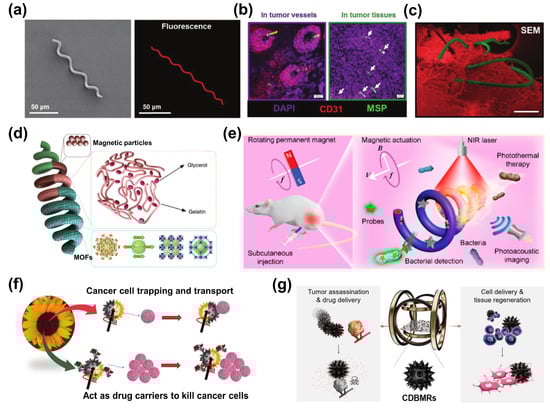 Bioengineering 11 00311 g005