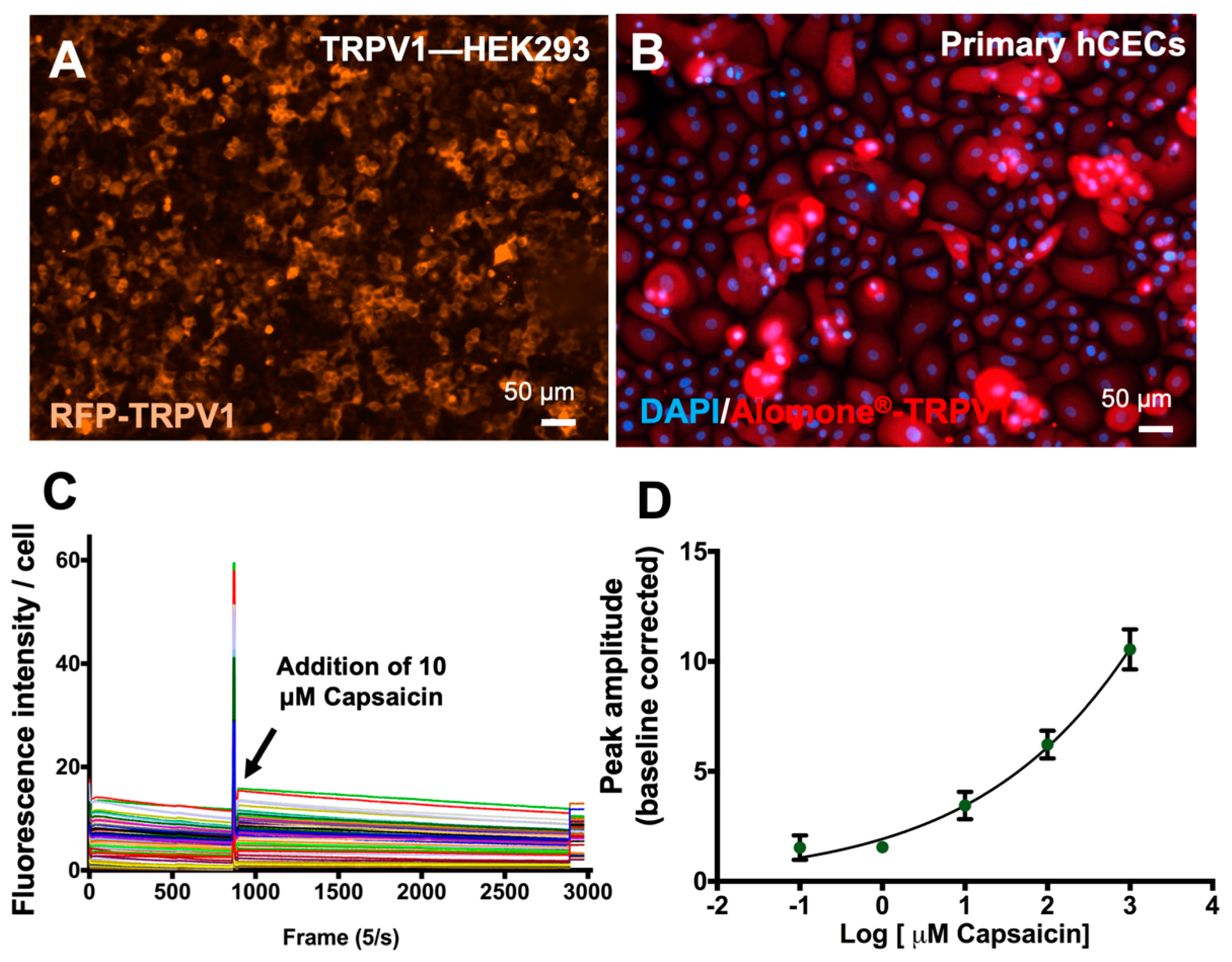 Bioengineering 11 00315 g003
