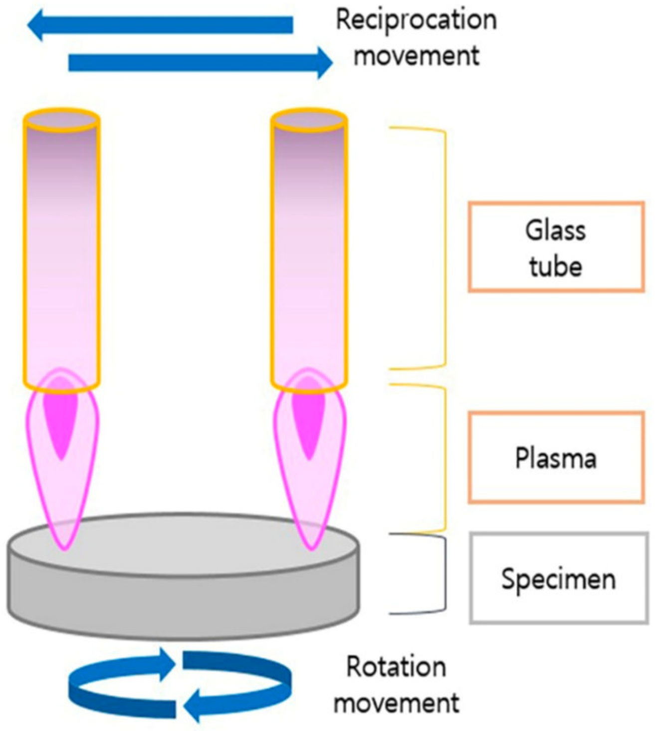 Bioengineering 11 00320 g002
