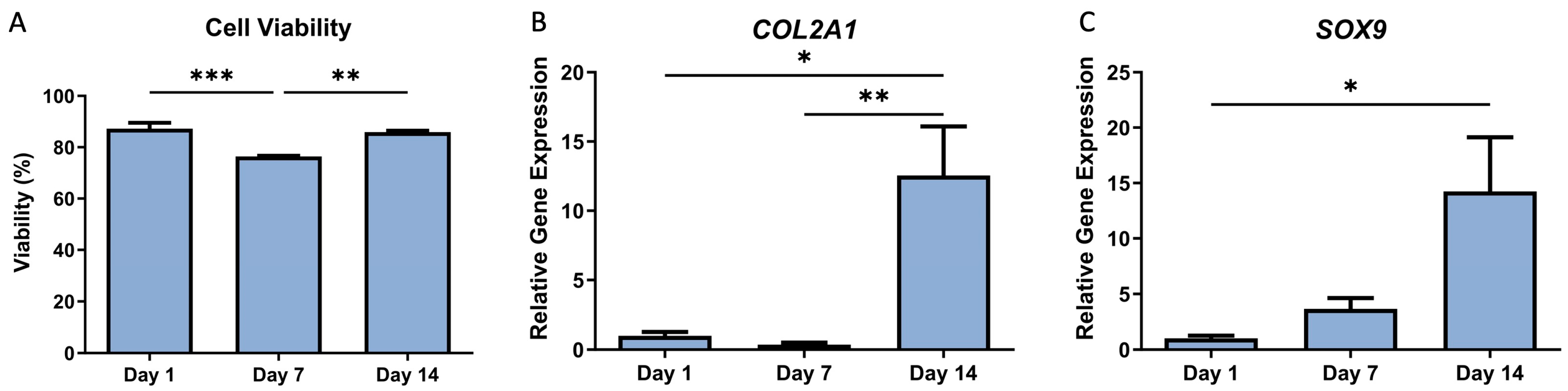 Bioengineering 11 00329 g004