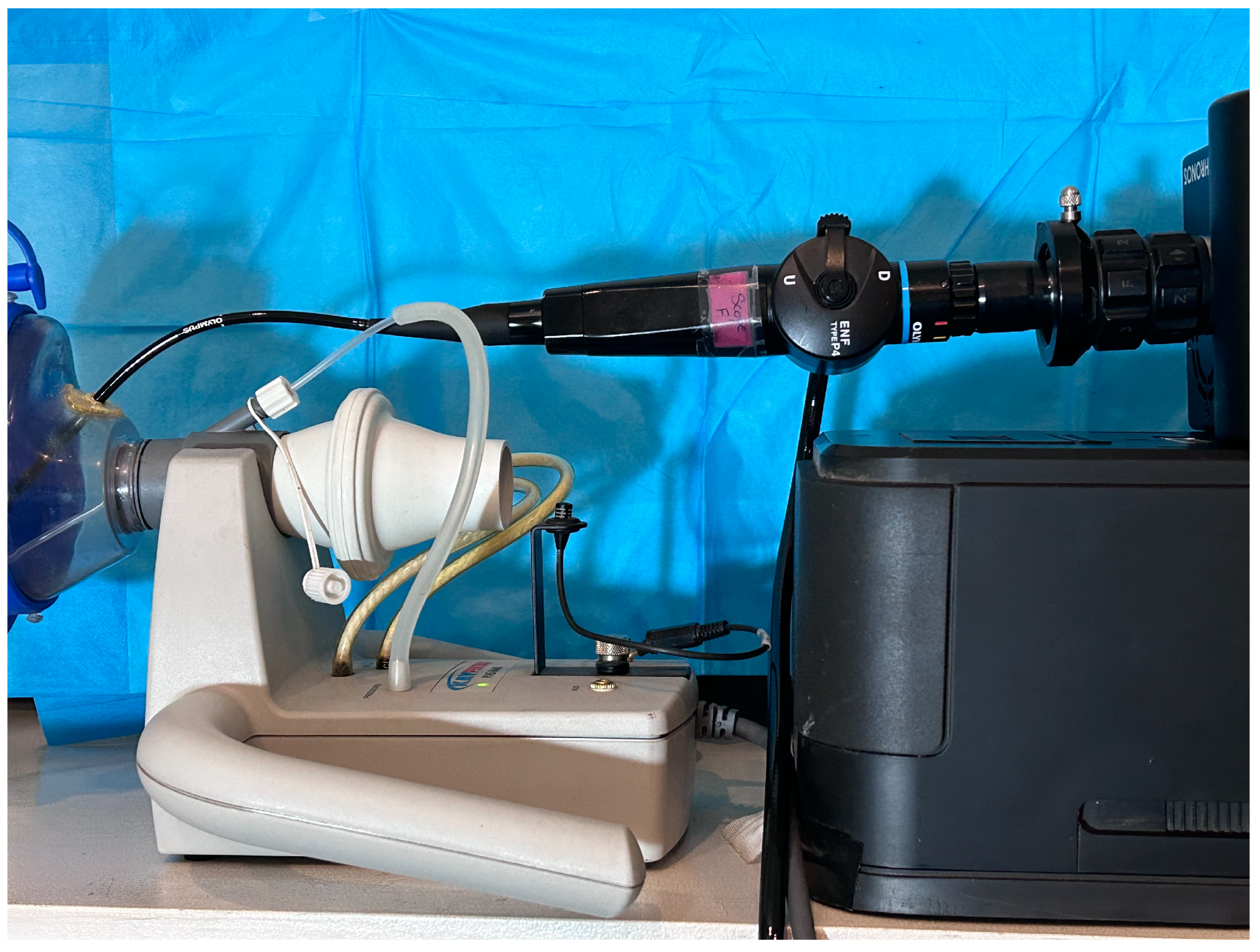 Bioengineering 11 00334 g001