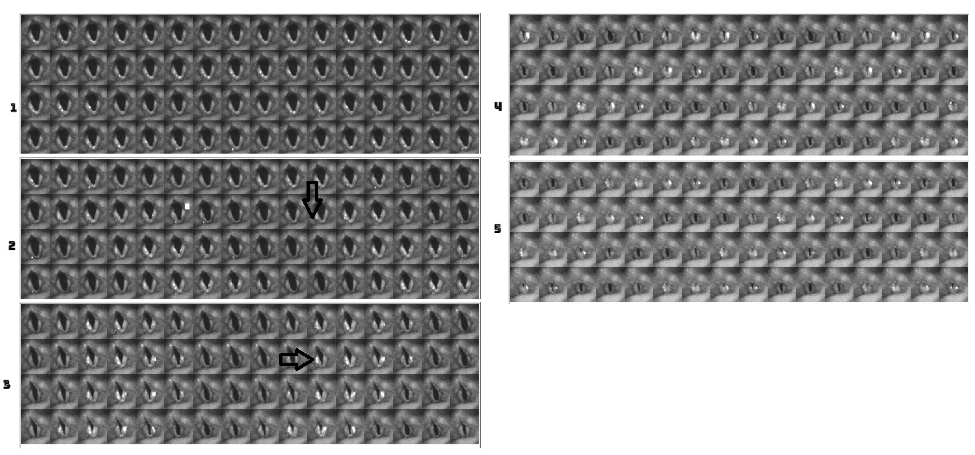 Bioengineering 11 00334 g007