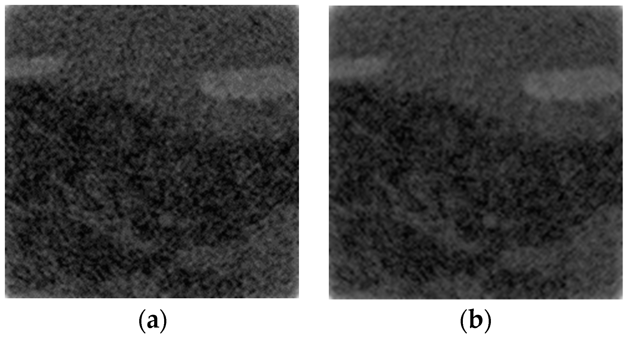 Bioengineering 11 00335 g001