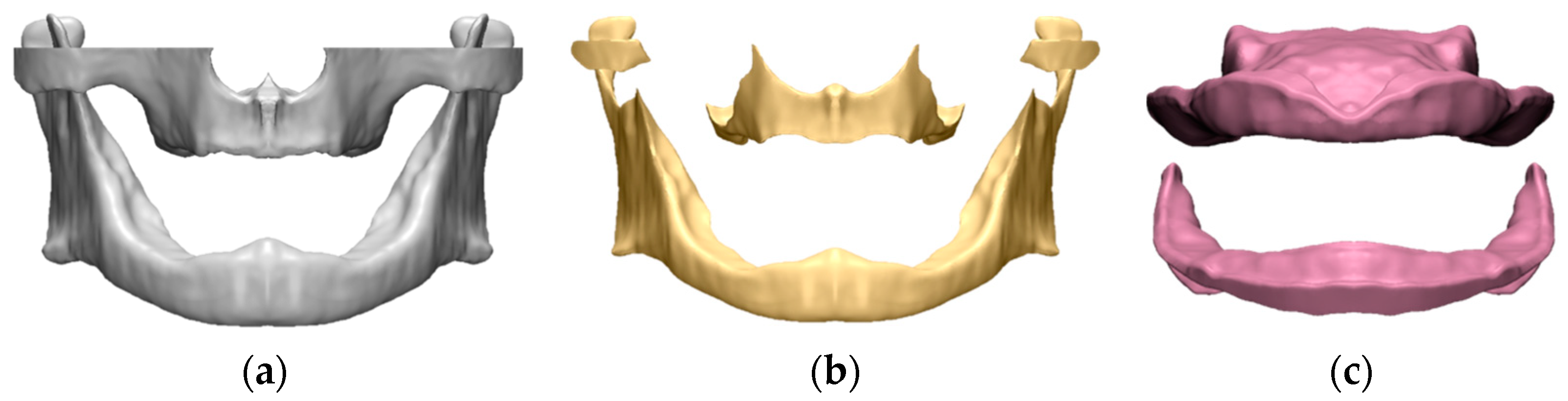 Bioengineering 11 00336 g001