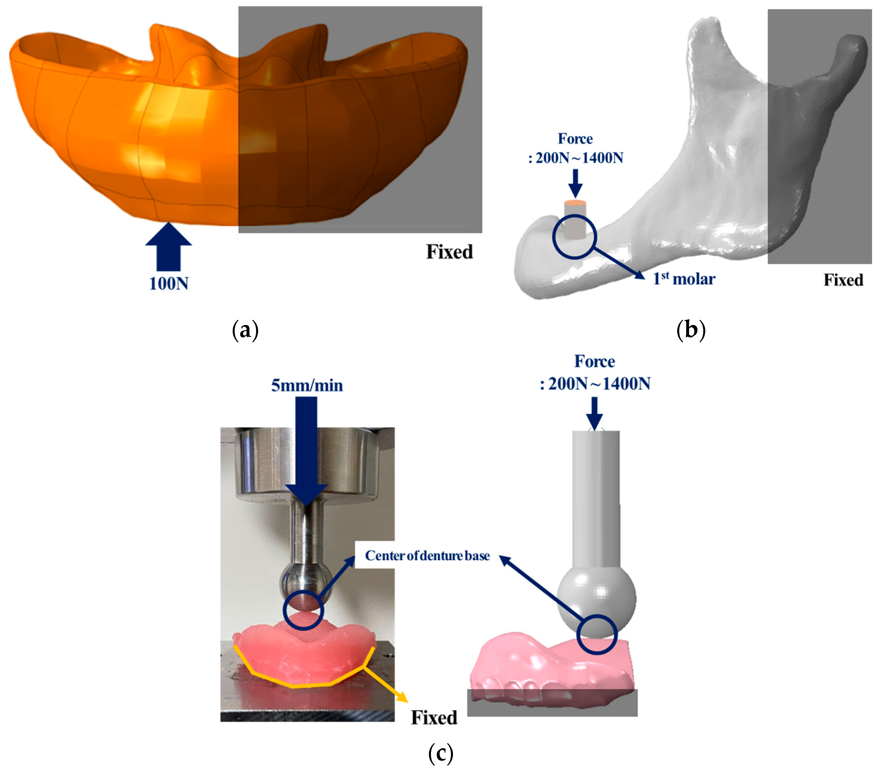 Bioengineering 11 00336 g003