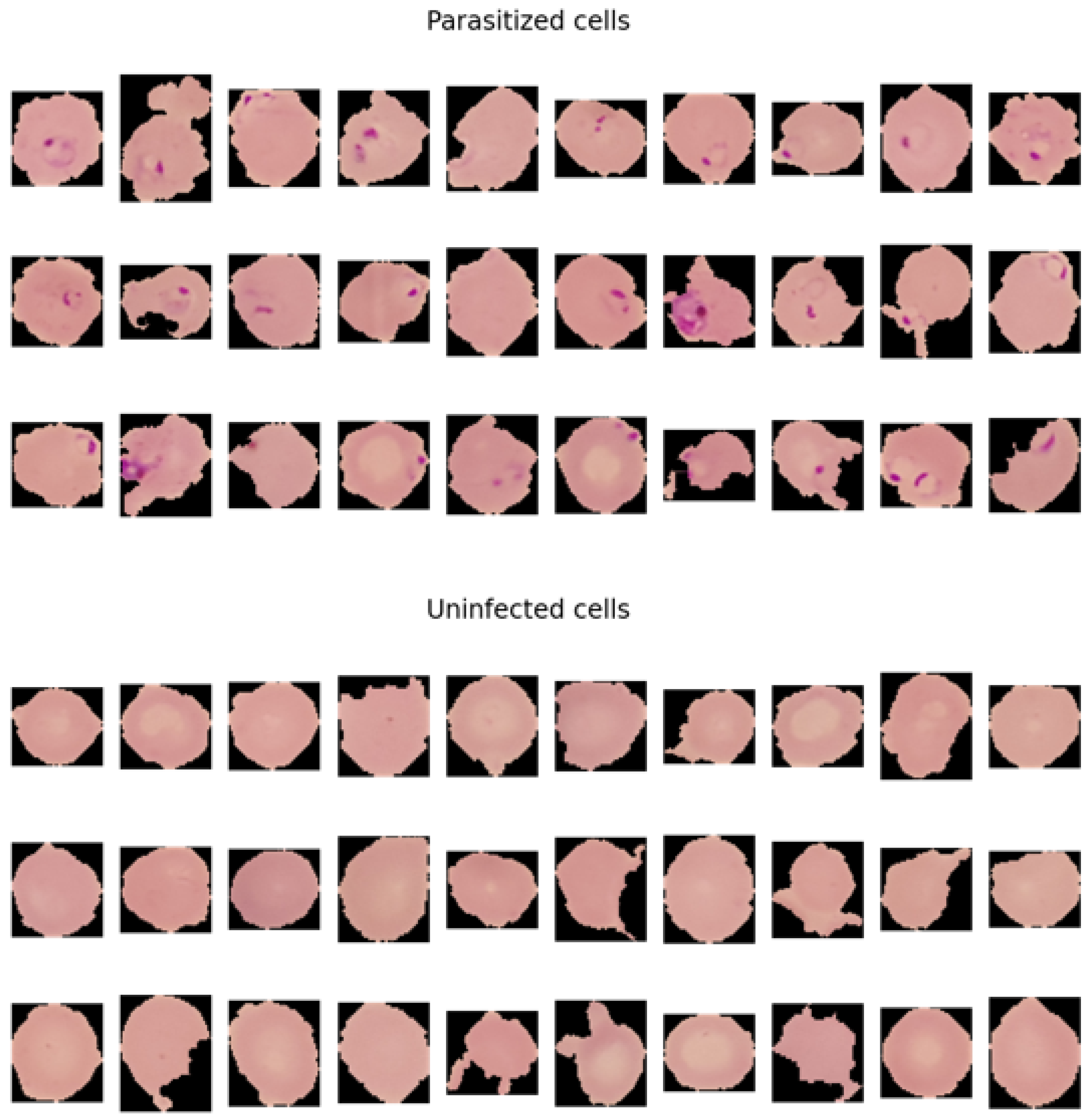 Bioengineering 11 00340 g004